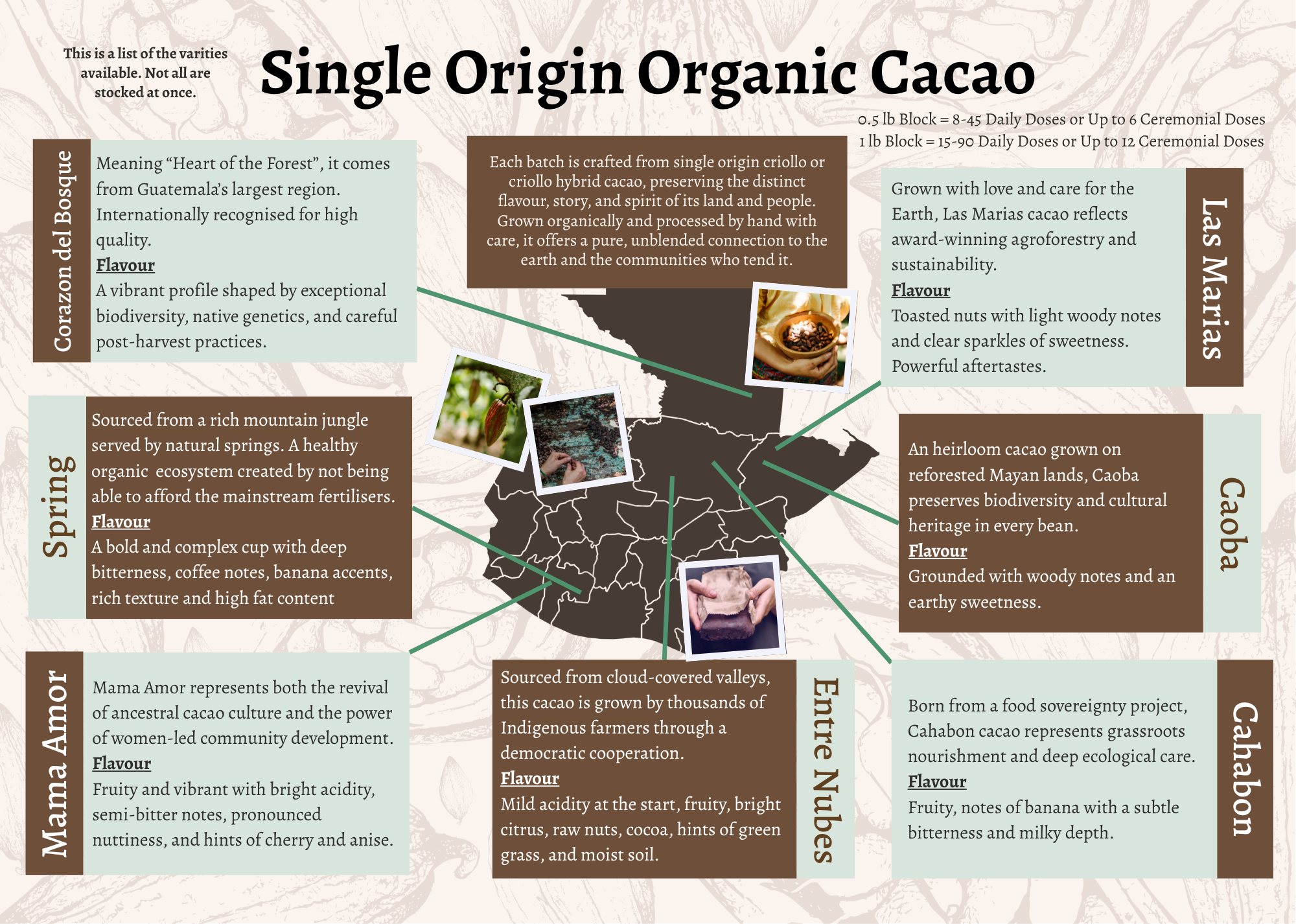 Earth Connection Cacao Brochure.png (Copy)