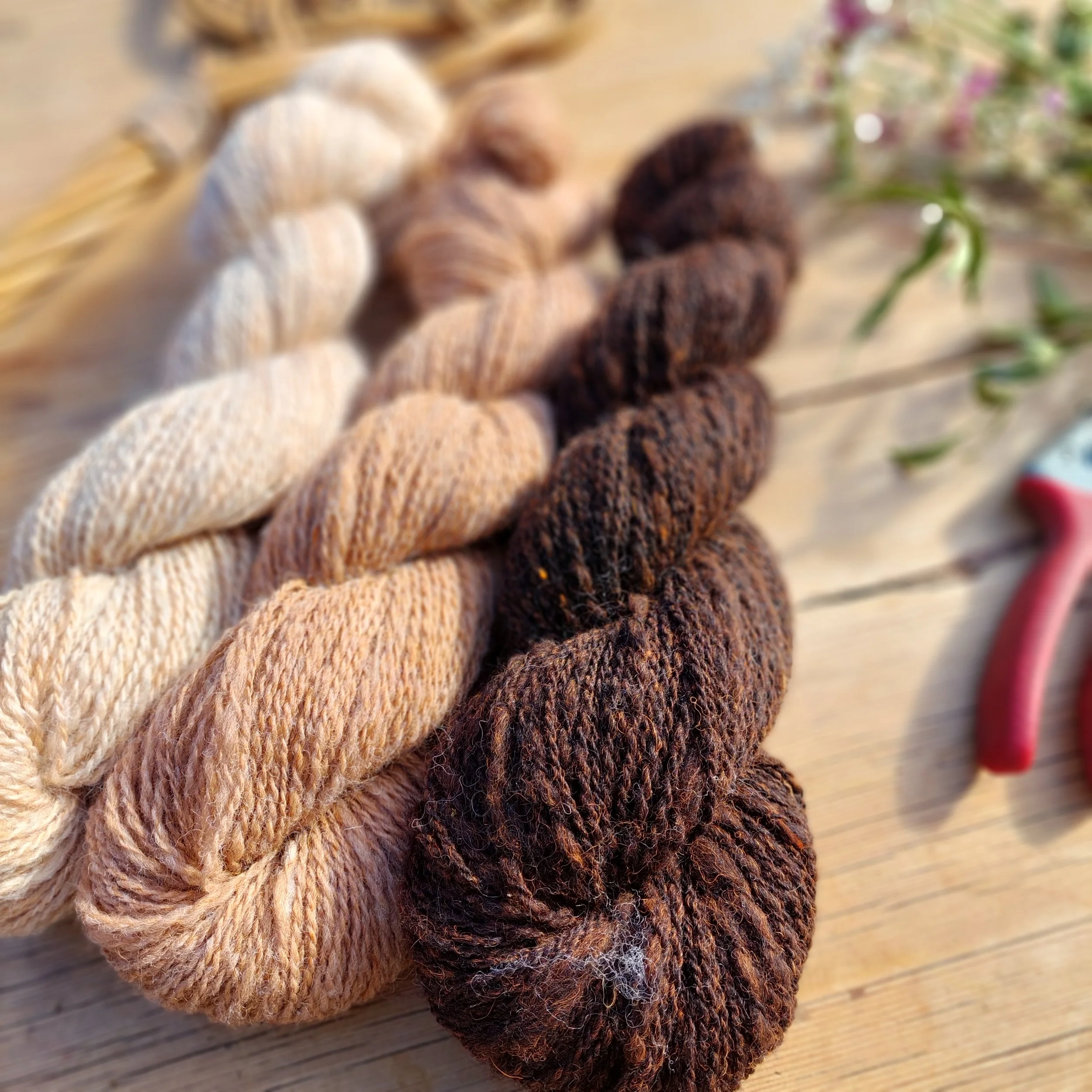 TEMPS VARIABLE - Pour vos pulls toute saison ! 4 - 5mm