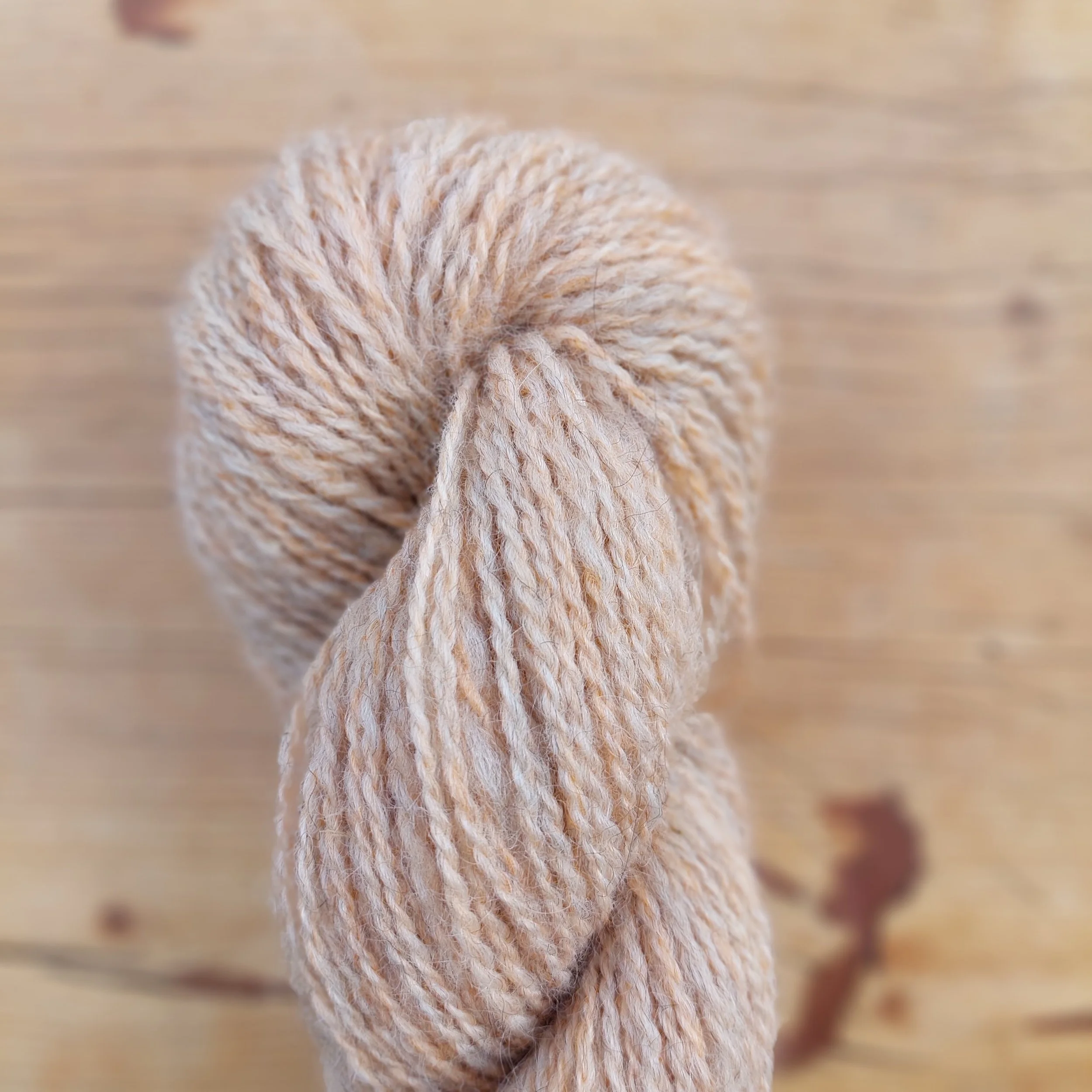 corail.jpg