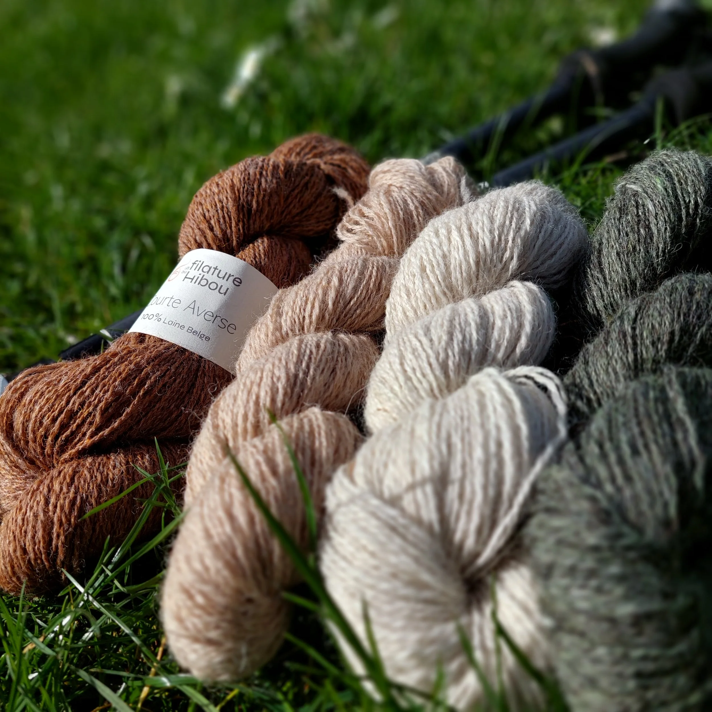 COURTE AVERSE - LE fil chaussette !  2.5mm