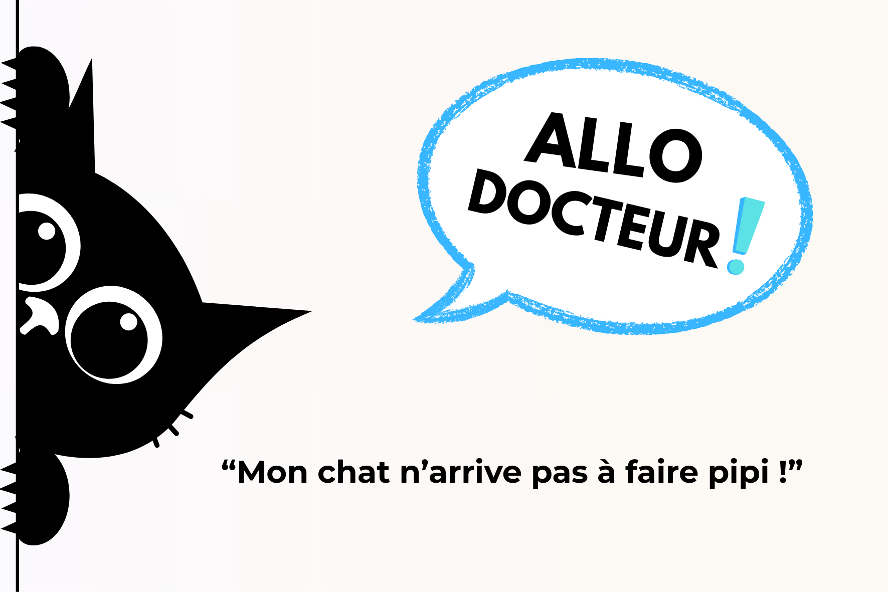 « Allô Docteur, mon chat n’arrive pas à faire pipi ! »