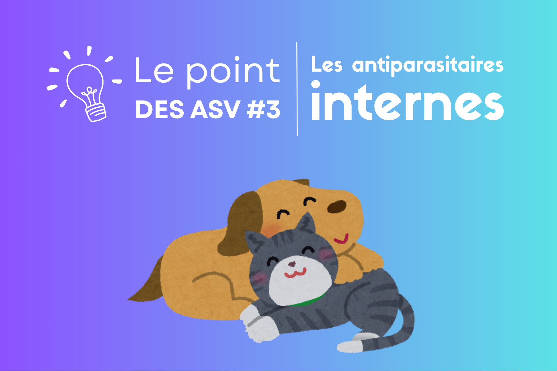 Le point ASV : Les antiparasitaires internes