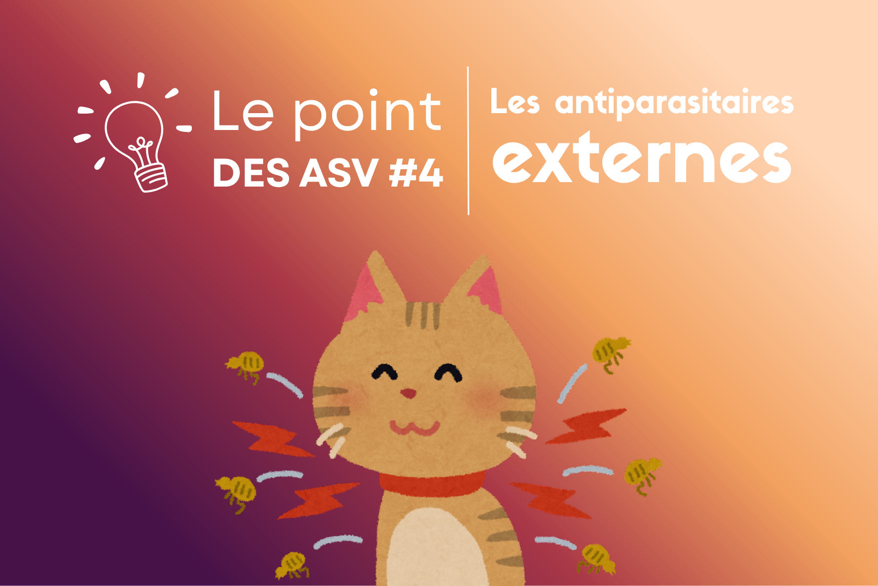 Le point ASV : Les antiparasitaires externes