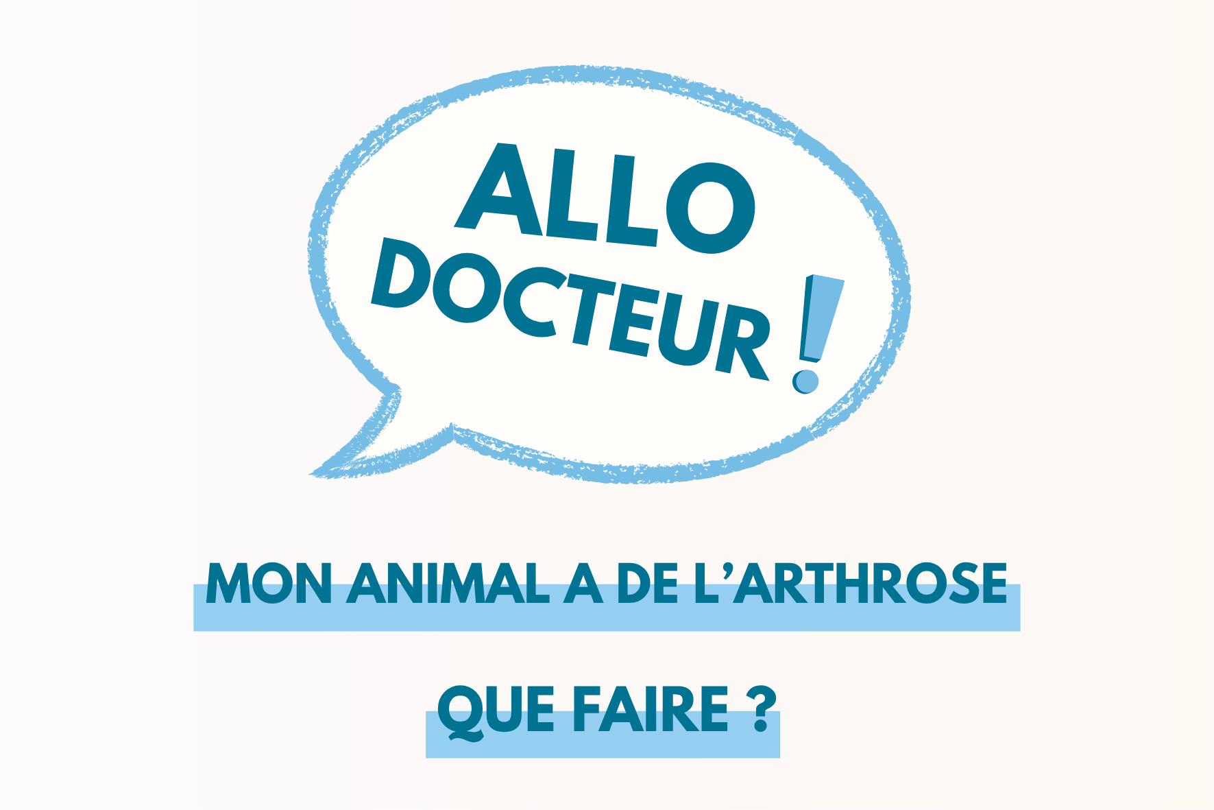 Mon animal prend de l'âge: peut il développer de l'arthrose&nbsp;? Que faire?