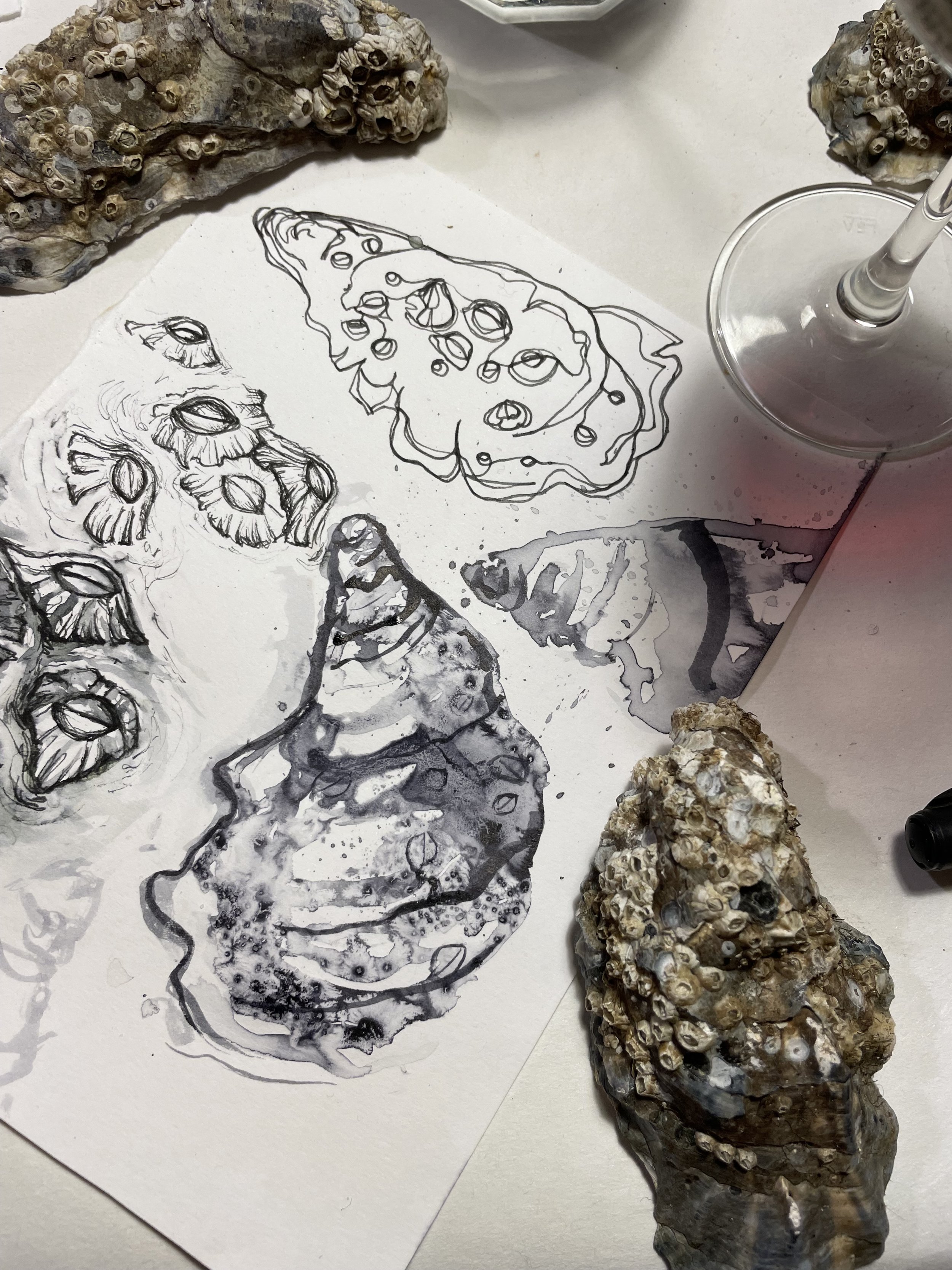 Still Life Drawing Workshop