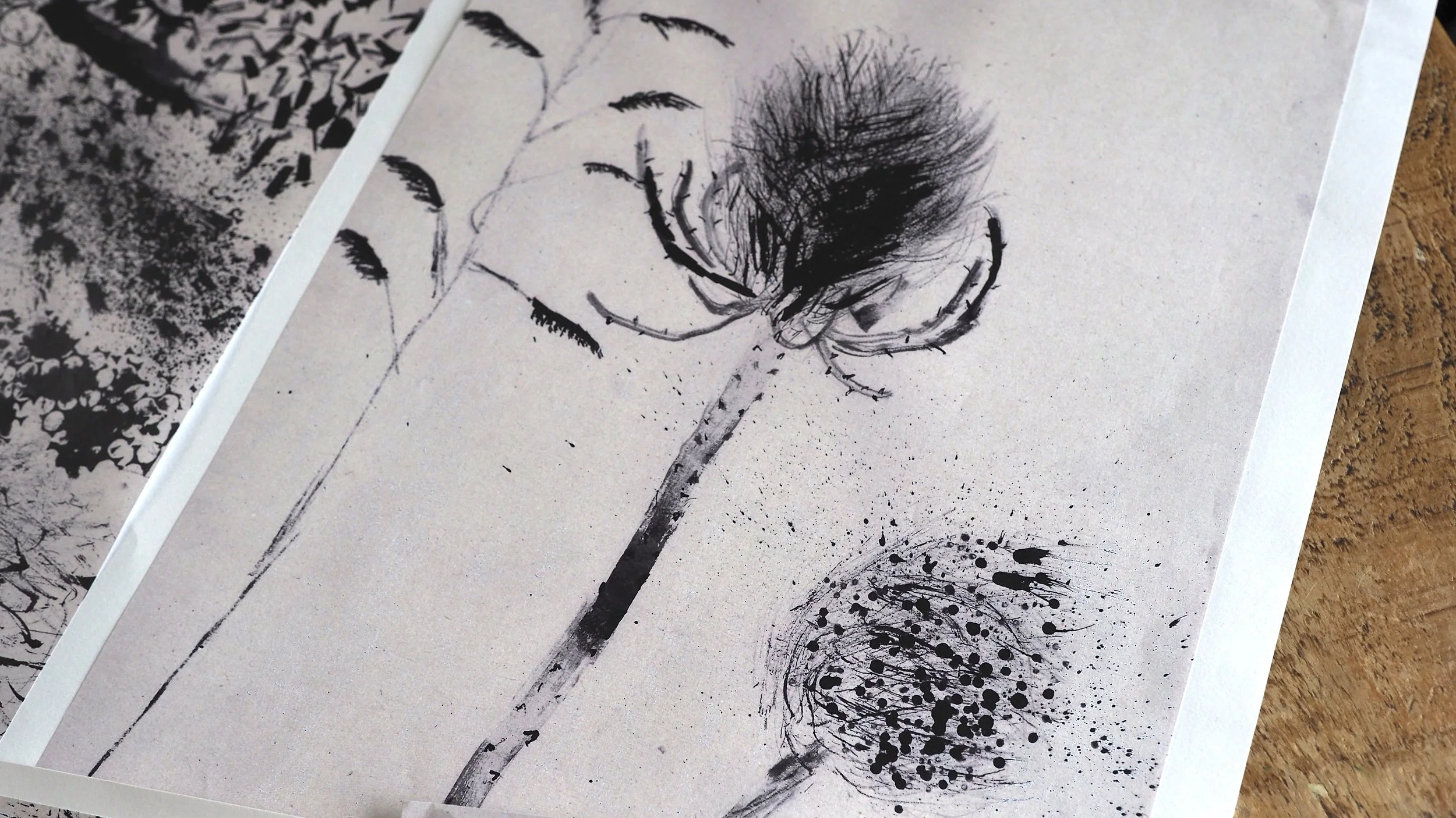 Ink Drawing Workshop