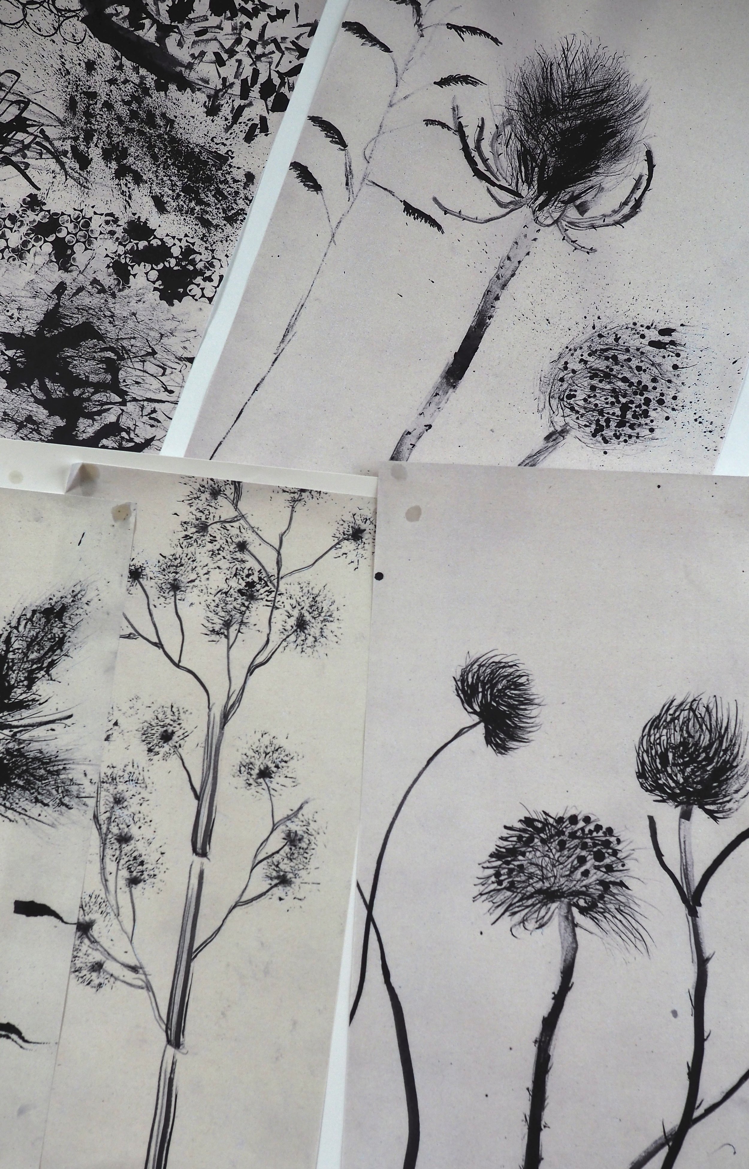 Ink Drawing Workshop
