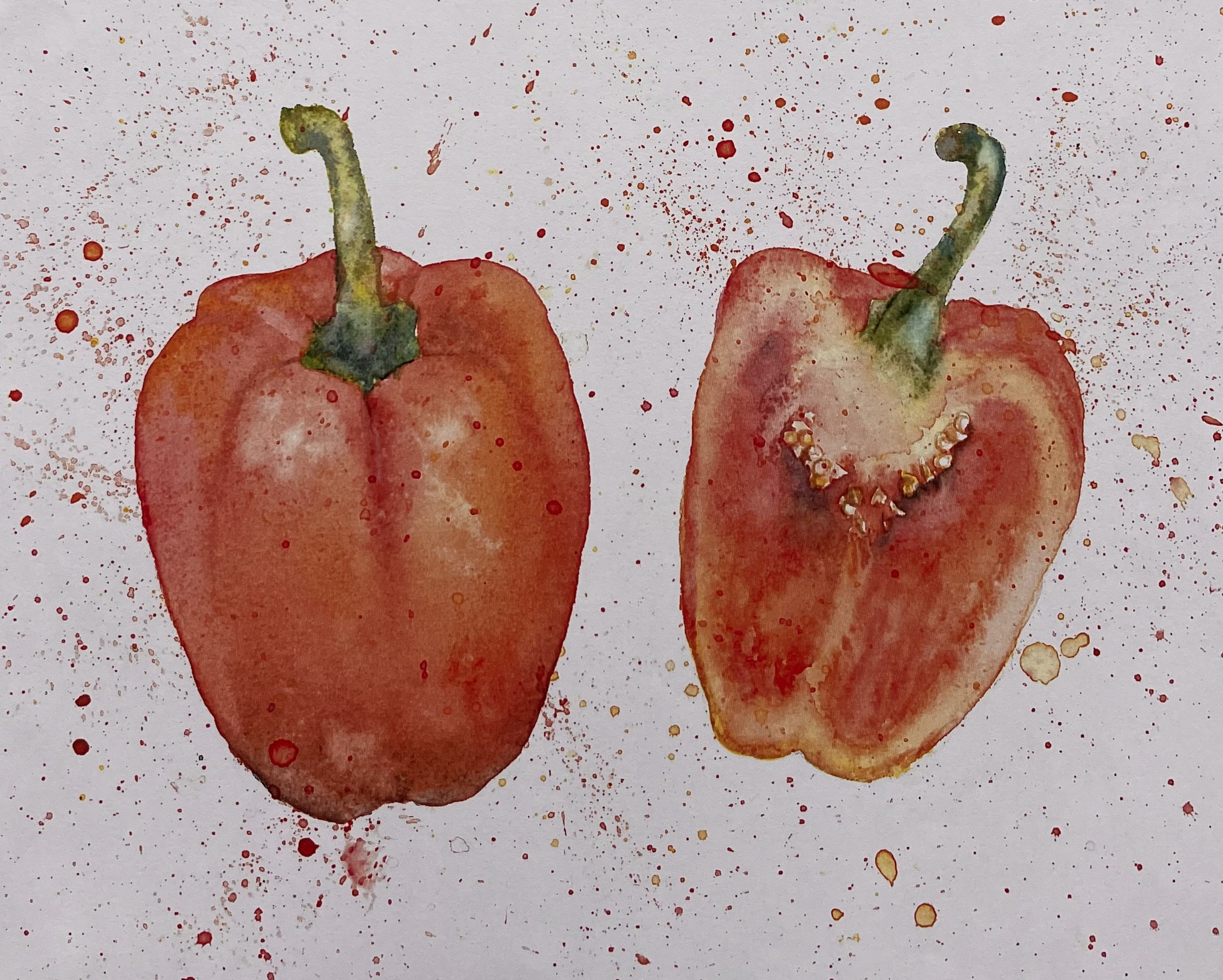 Watercolour Workshop