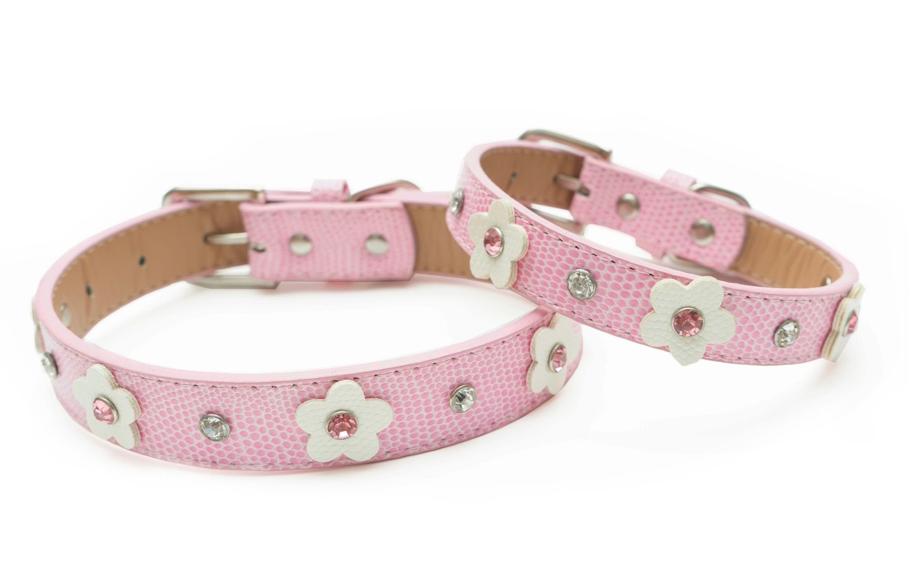 Daisy Dog Pink Collar