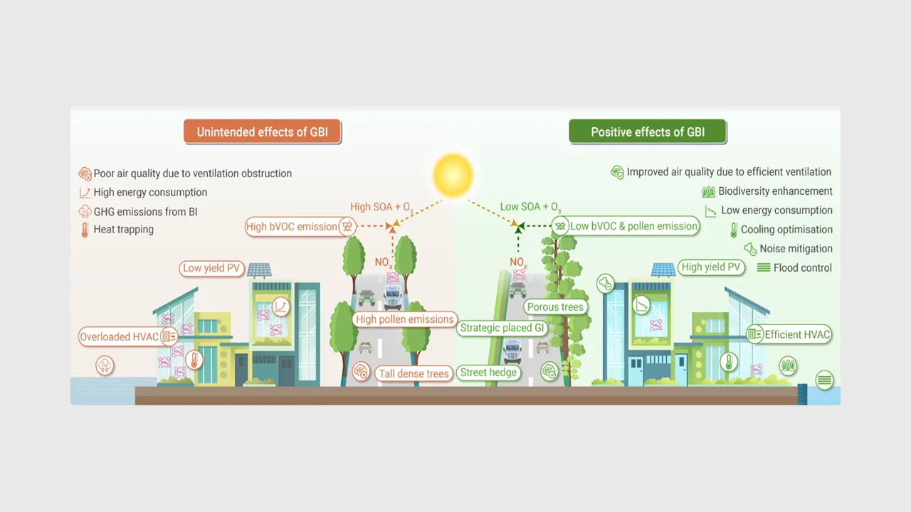 Cities missing out on nature-based solutions that could boost climate resilience, global experts warn