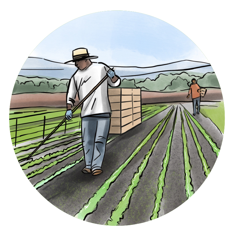 Twee mensen werken op een landbouwveld. Een persoon draagt een hoed en werkt met een schoffel, terwijl een andere persoon in de verte met een emmer staat. Het veld is vol met jonge gewassen en er is een houten kist op de achtergrond. De omgeving is landelijk met heuvels op de achtergrond.