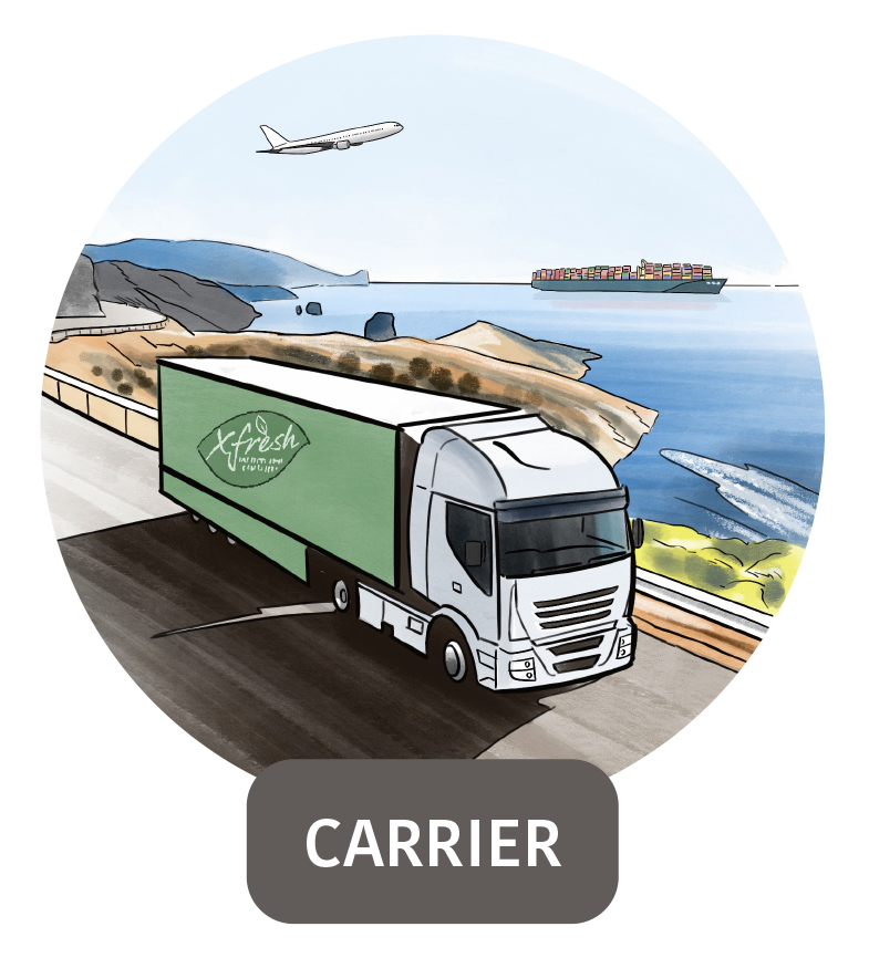 Vrachtwagen, vliegtuig, en vrachtschip langs kust. "Carrier" op voorgrond.