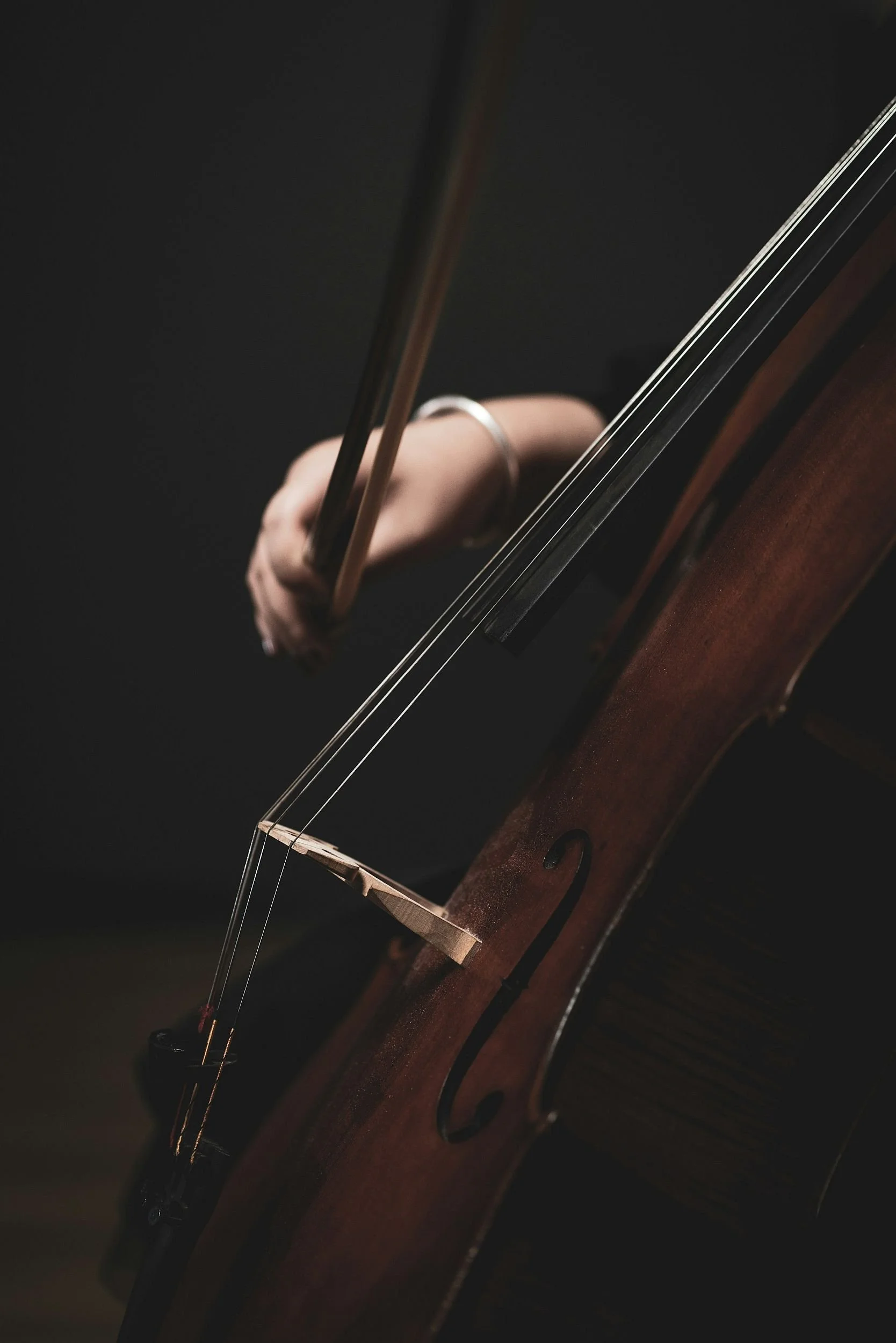 The perfect bow for Heddi