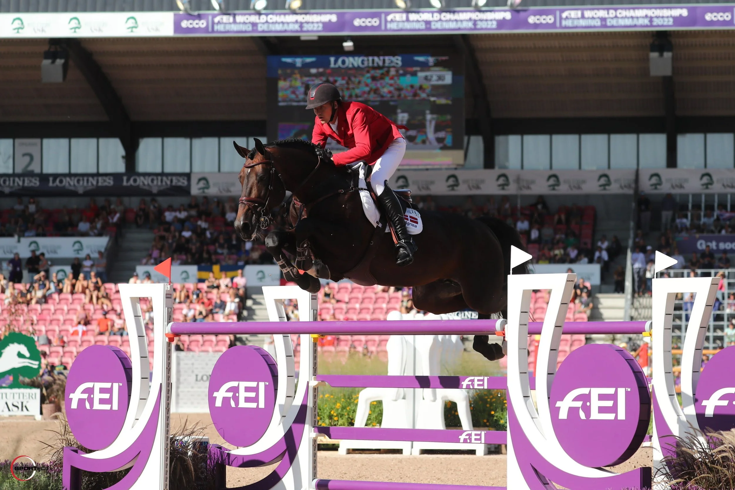 A rider in red jacket and white breeches jumping over a purple show jumping obstacle on a dark brown horse, with a crowd of spectators in the background at the FEI World Championships in Herning, Denmark, 2022.