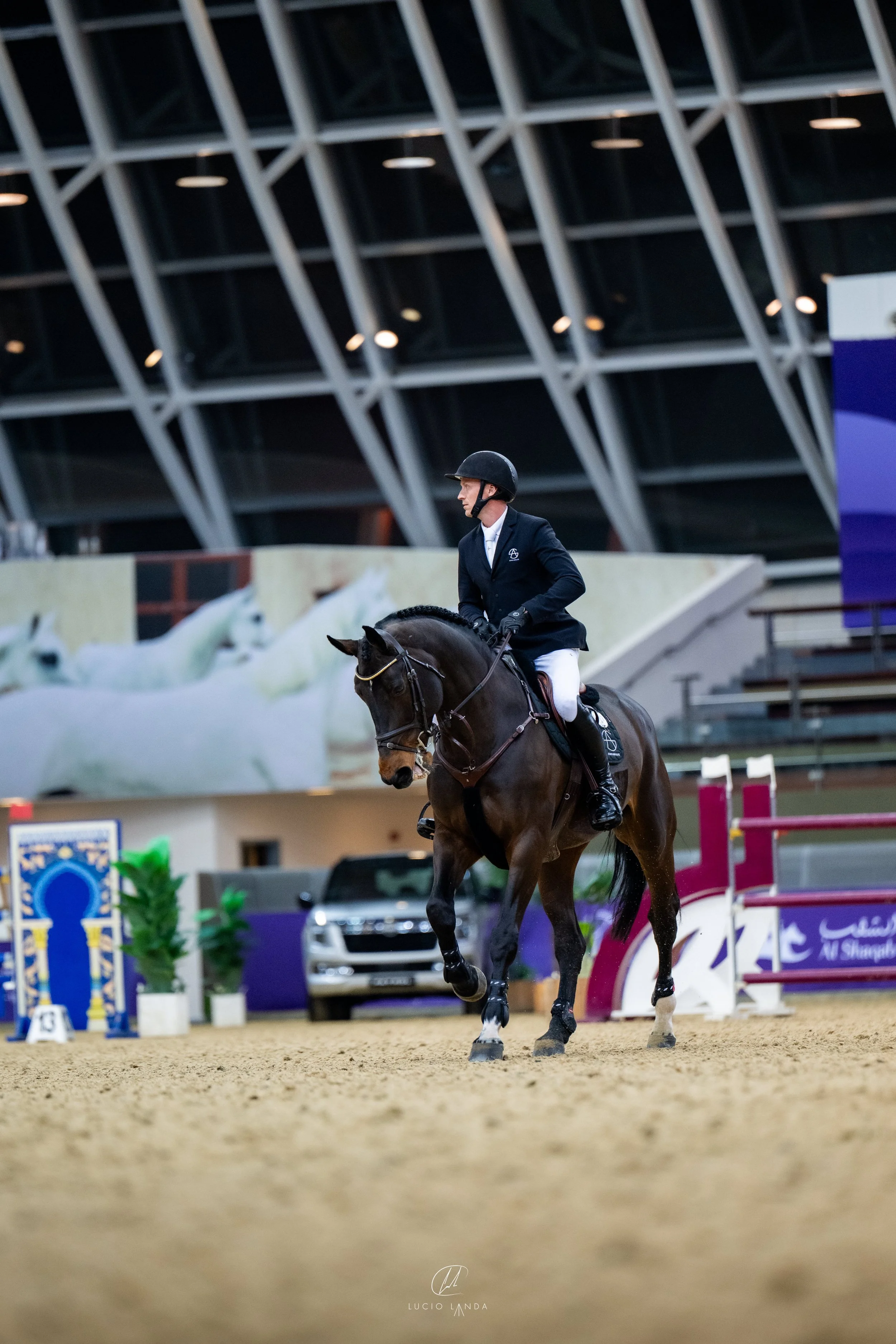 A rider in formal equestrian attire riding a dark brown horse in an indoor arena during a show jumping event.