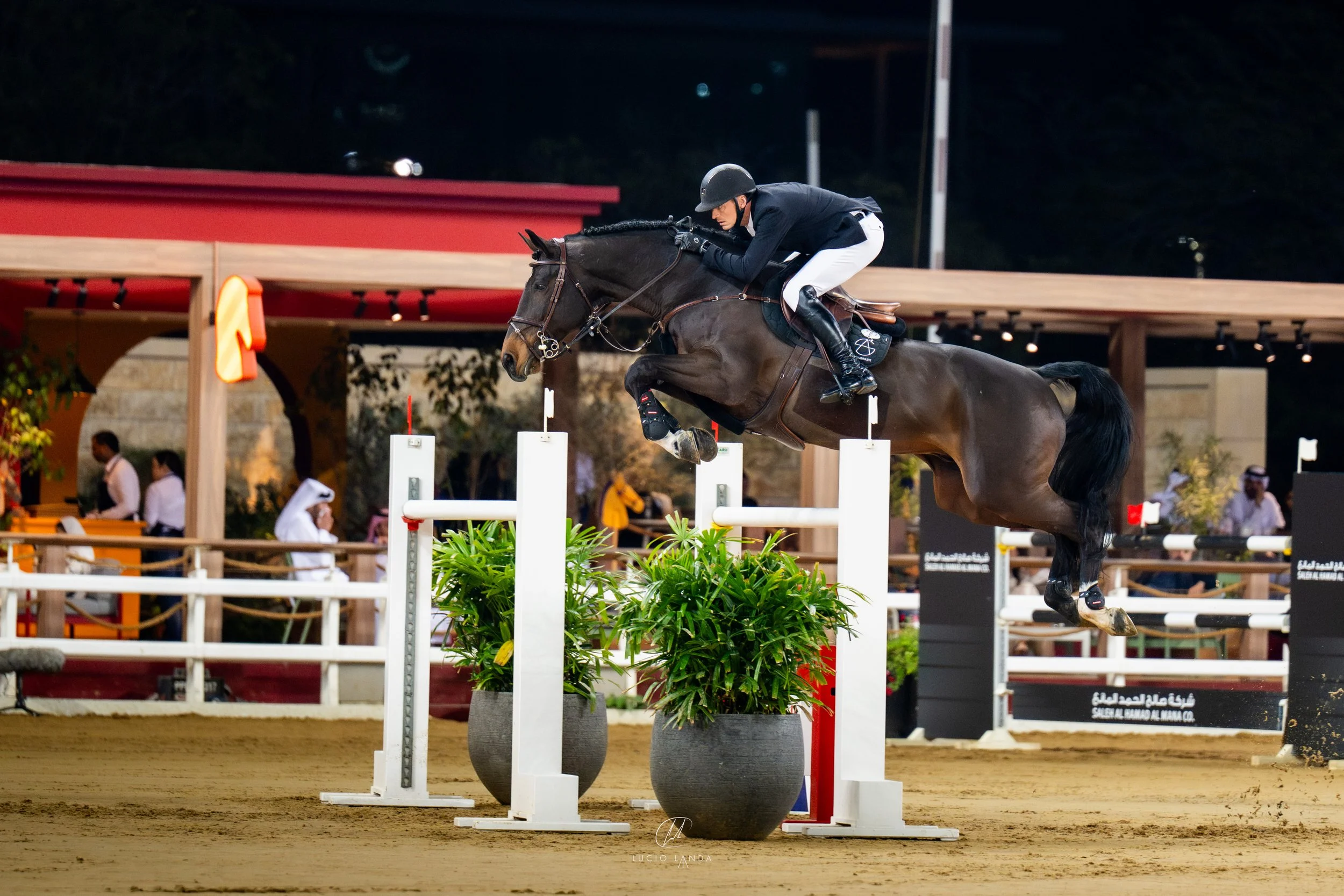 A rider and horse competing in a show jumping event, mid-air over a fence with plants, at a nighttime arena.