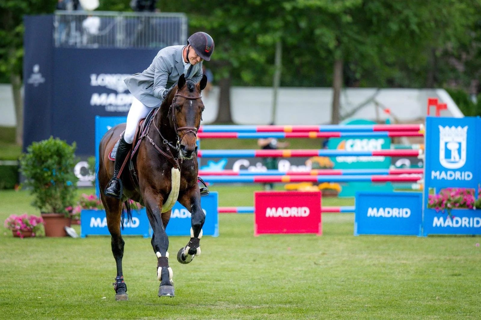 A person riding a brown horse during a show jumping event on a grass field, with colorful jumps and 'Madrid' signs in the background.