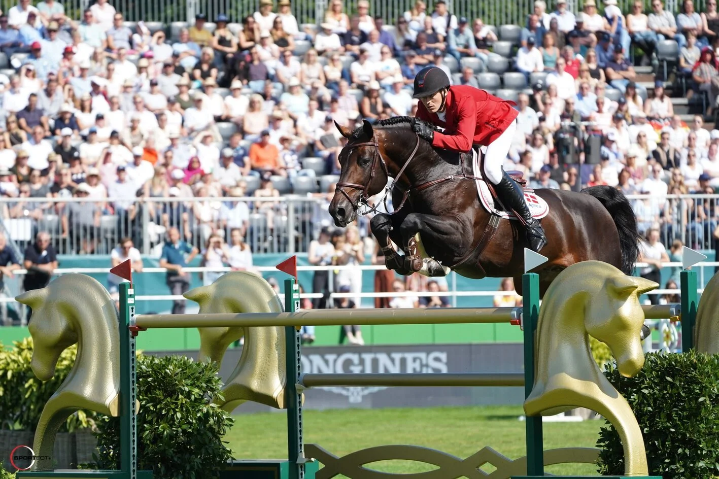 A rider in a red jacket and white pants jumping over an obstacle on a brown horse during an equestrian show, with an audience watching in the background.