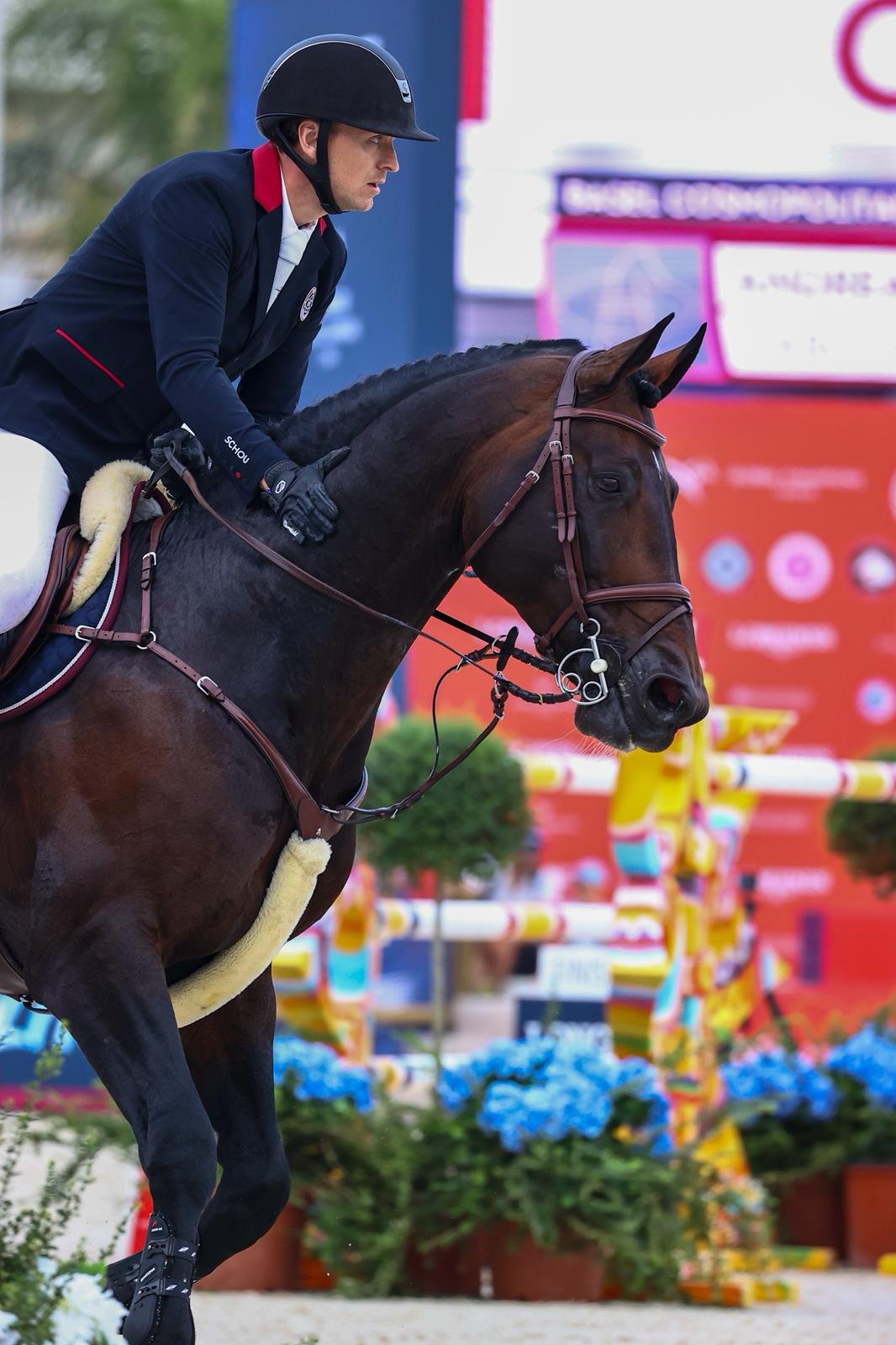 A male equestrian athlete on a brown horse during a show jumping event, with a colorful background and flowers.