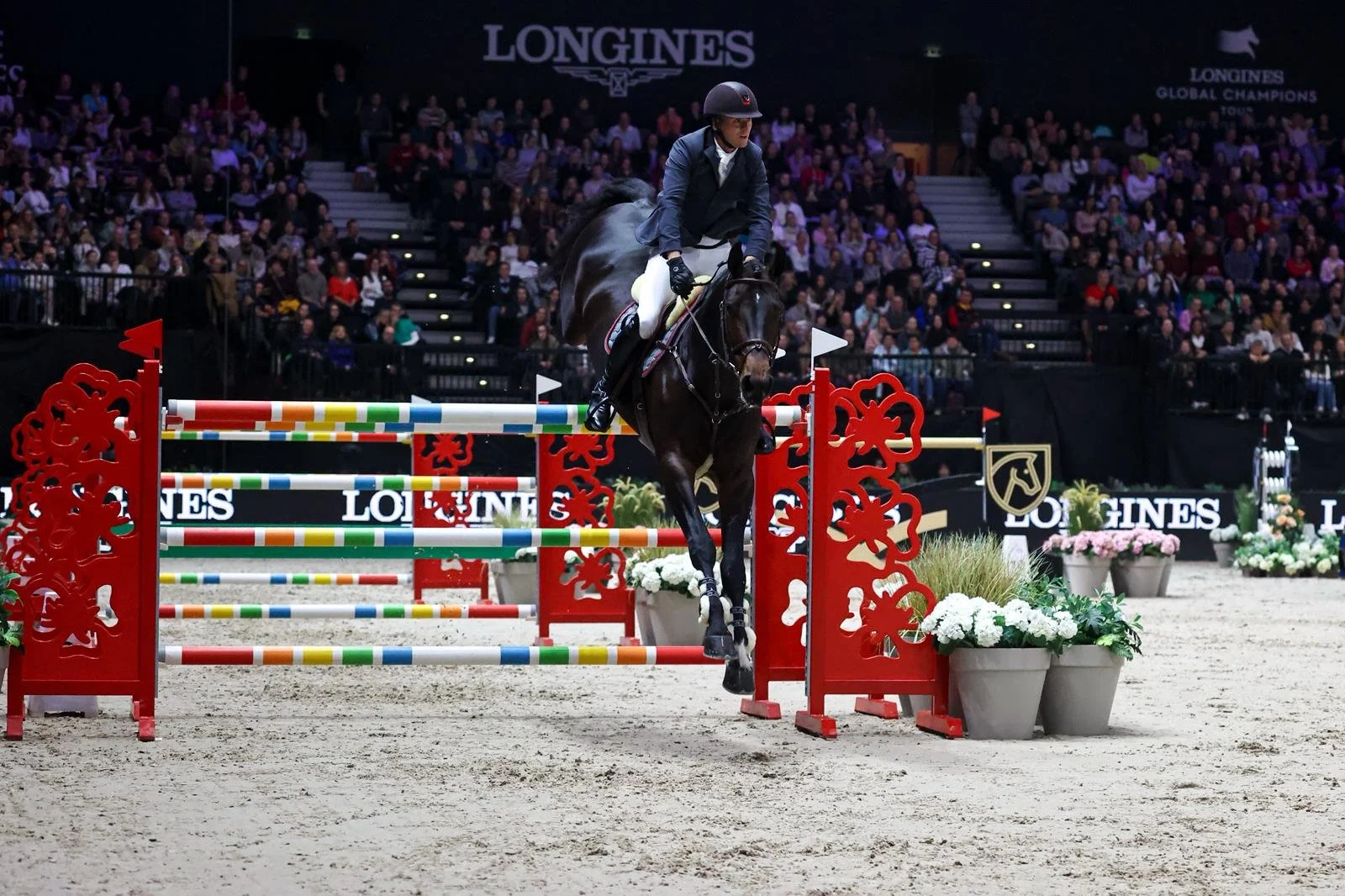 A rider in a navy jacket and helmet guides a dark horse over a colorful show jumping obstacle in an indoor arena filled with spectators.