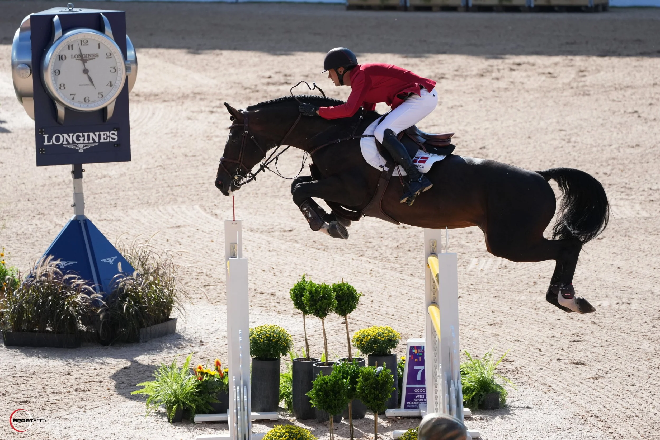 A jockey in red jacket and white pants riding a dark brown horse jumping over a hurdle in an equestrian event, with a timer and decorative plants in the background.