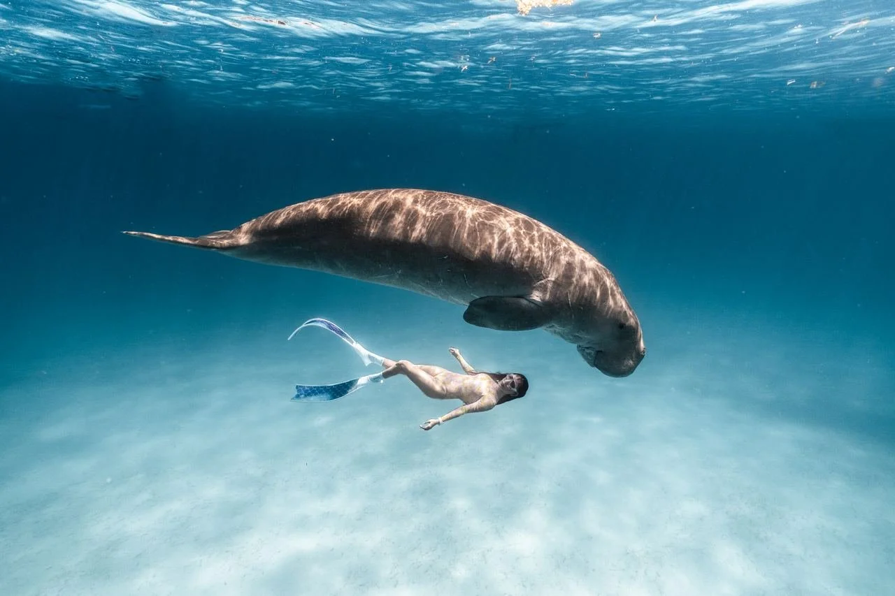 photo_2025-01-05 21.04.29.jpeg