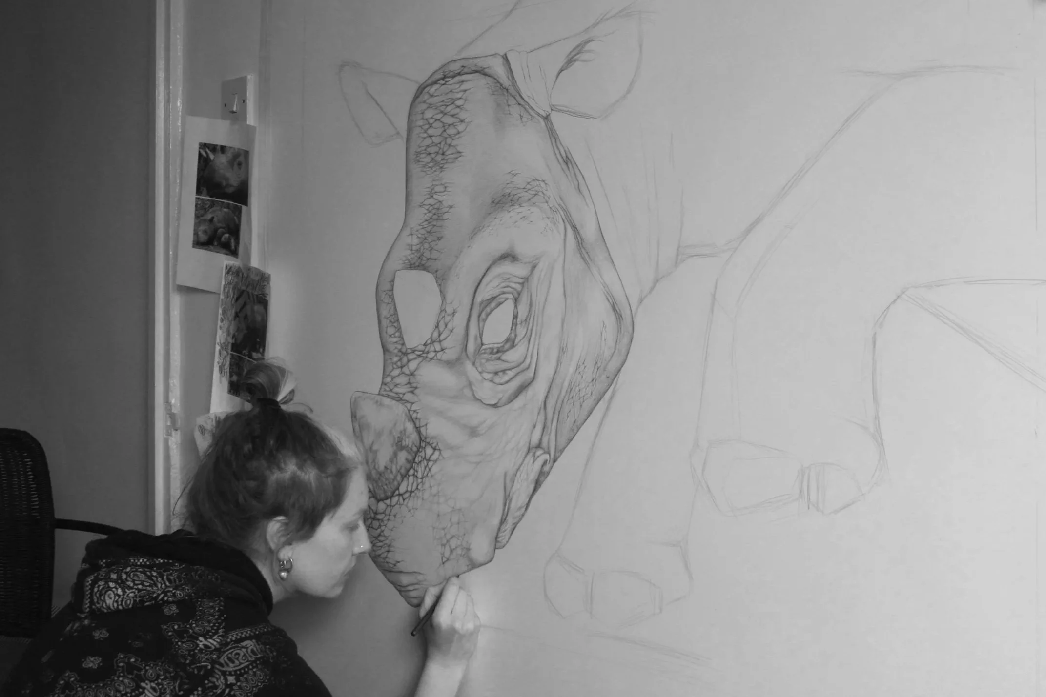 Drawing a life-size Sumatran Rhinoceros (2015)