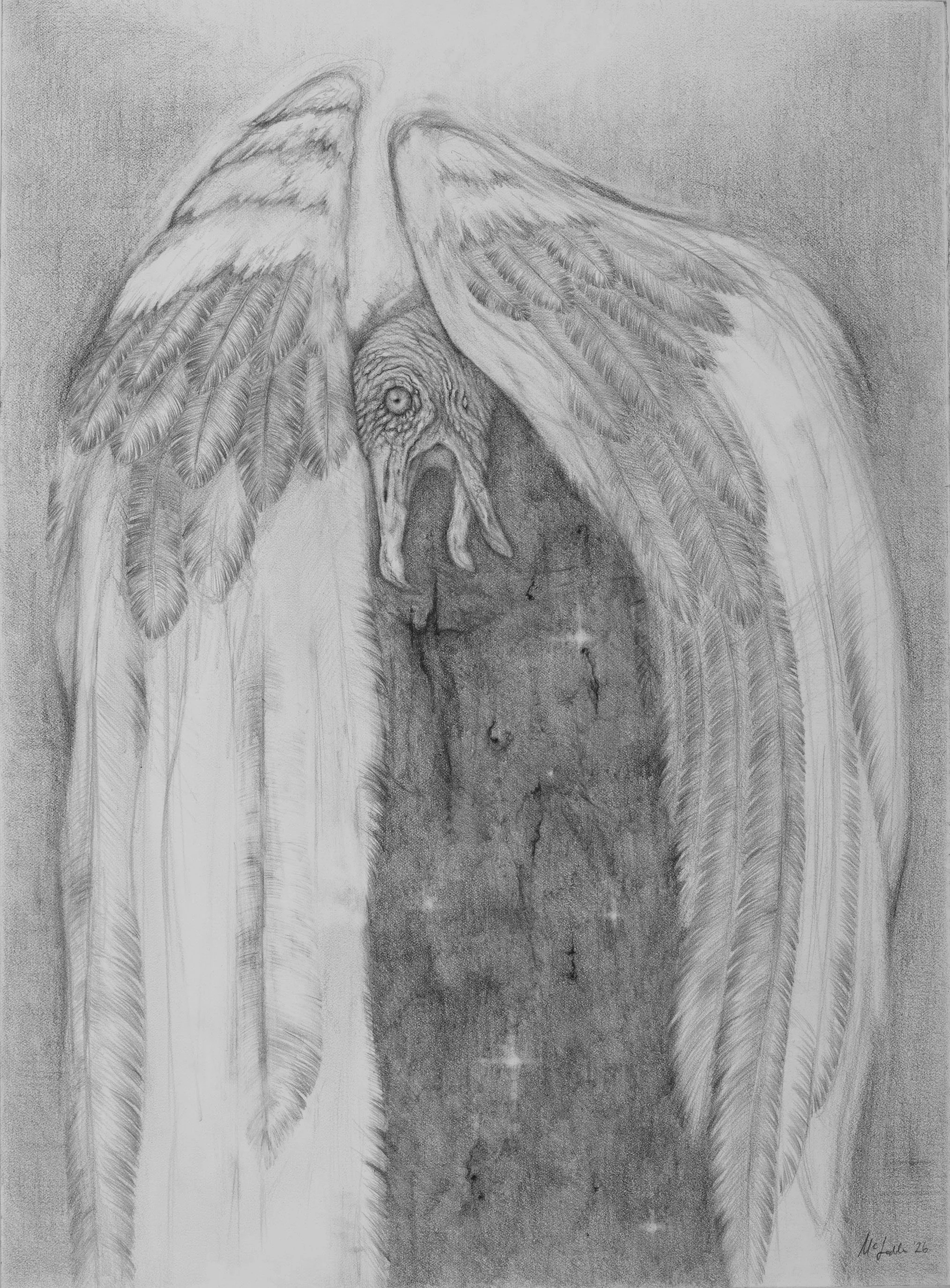 Cloaking the Night, 2026 (42x31cm)