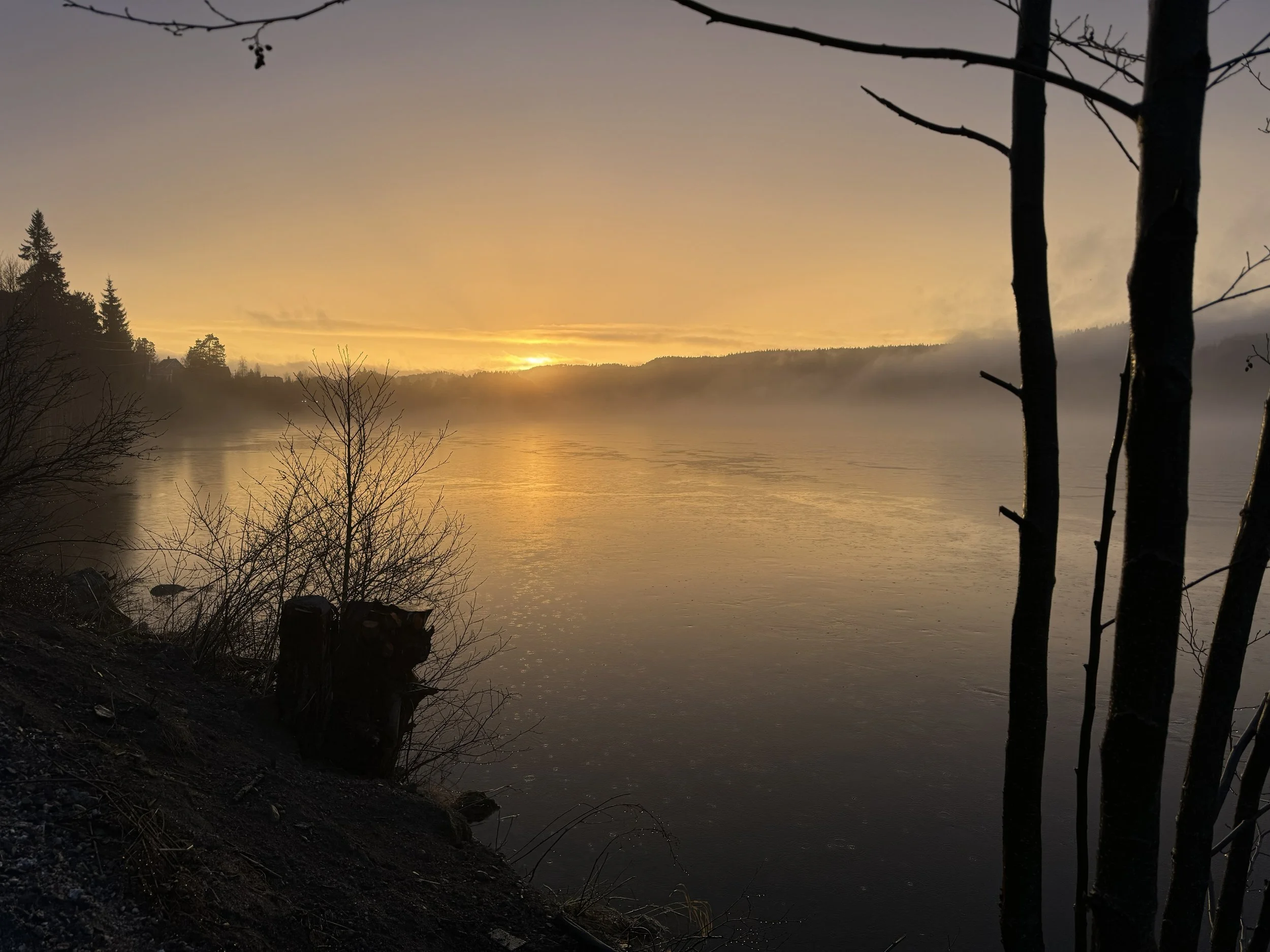 Vennesla har blitt selvfyrt