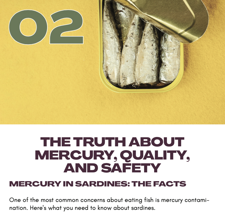 The Sardine Strategy by Nicci Morris - Safety.png