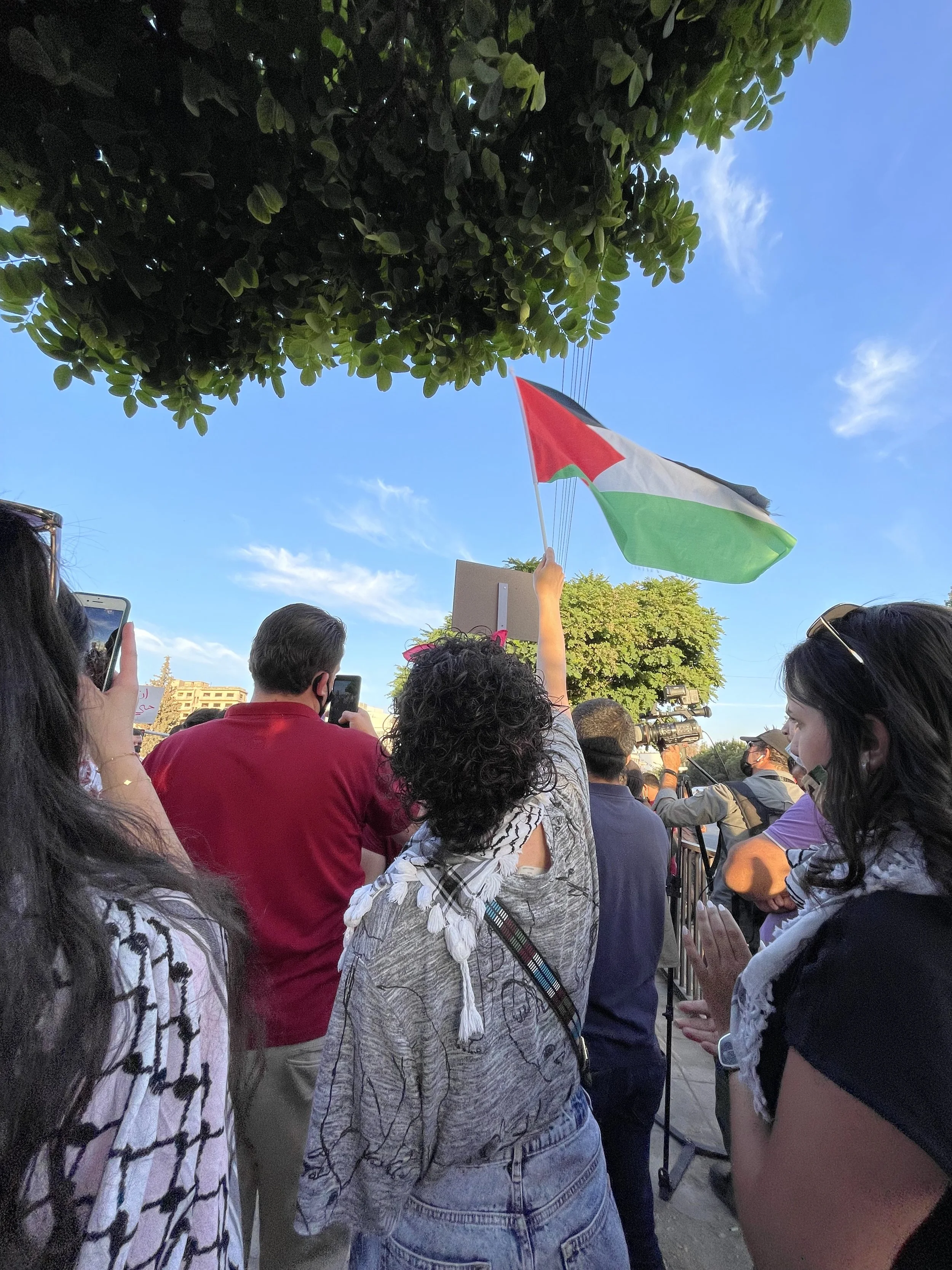 Insulin, Freedom, and Palestine