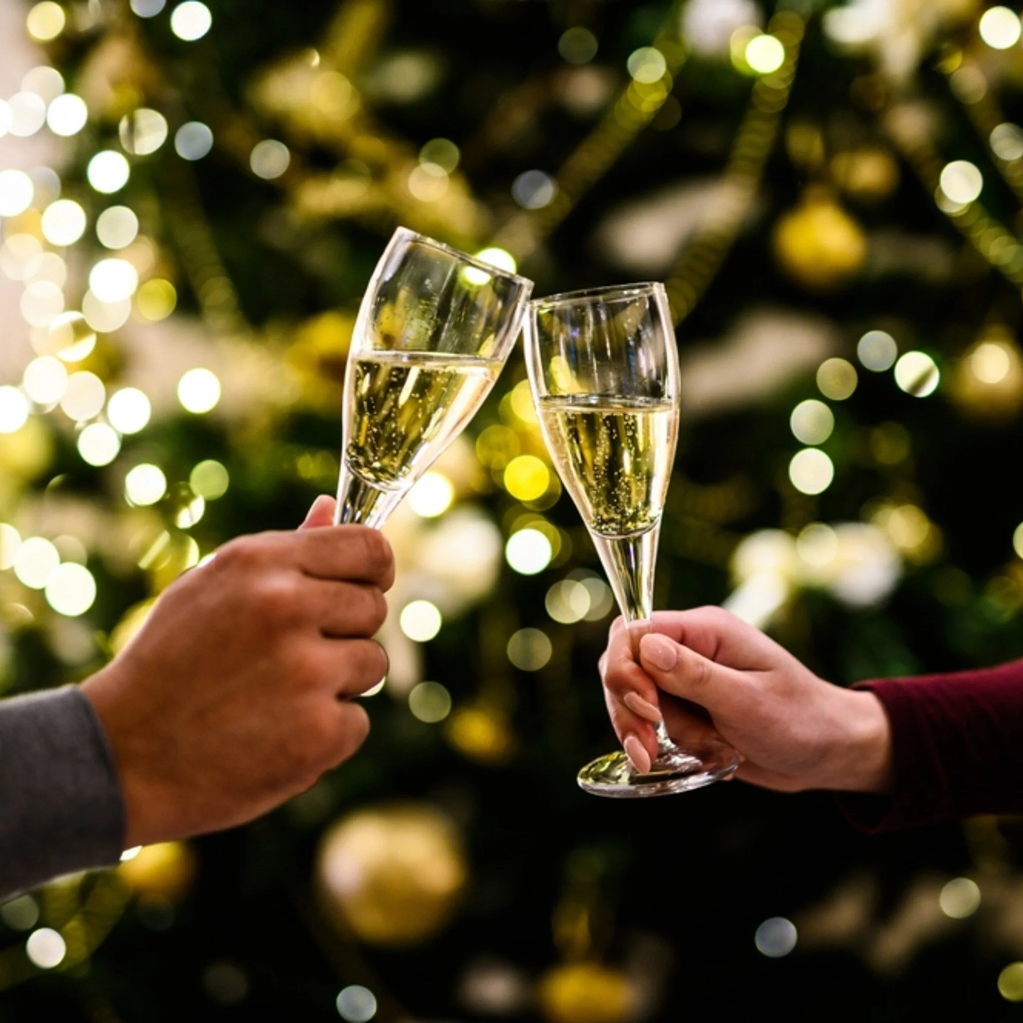 Nieuwjaarsreceptie bij Boer Bas