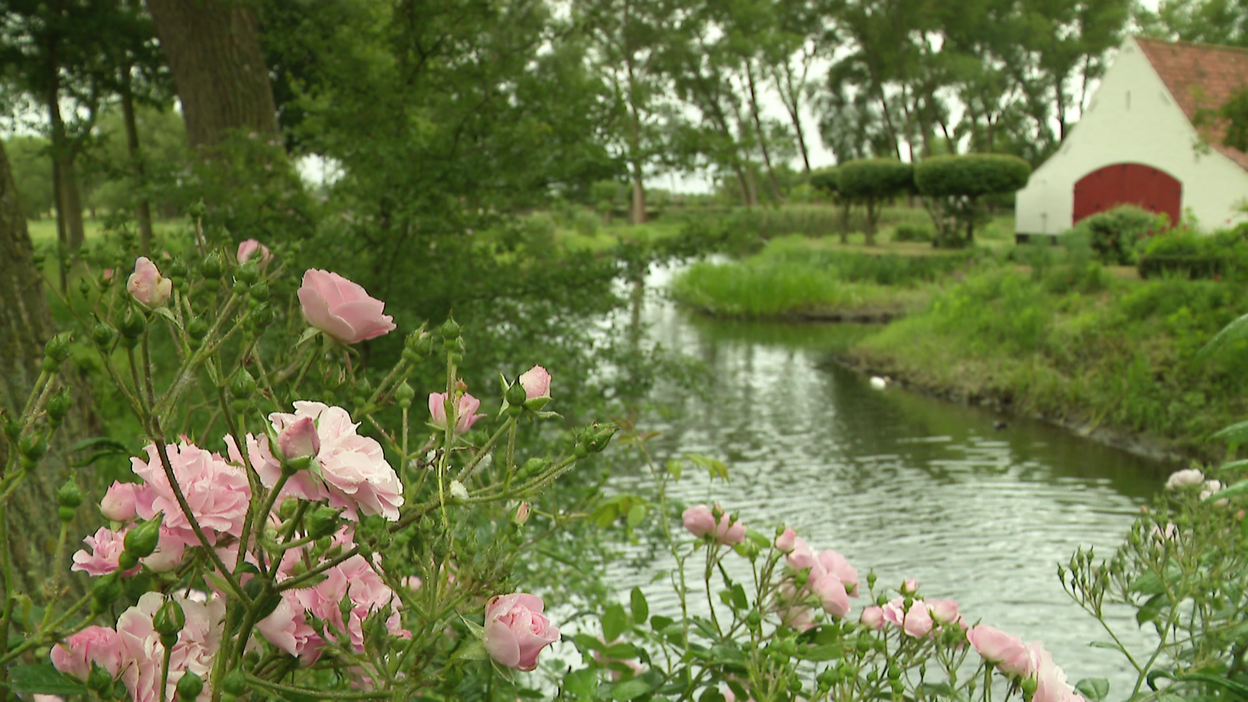 Ecotuindagen Velt Damme