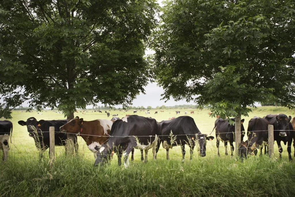 Boerentoer 10 jaar Boer Bas