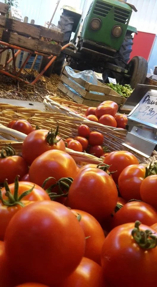 491801473_2448311398840296_7120966855330885135_n (1).jpg