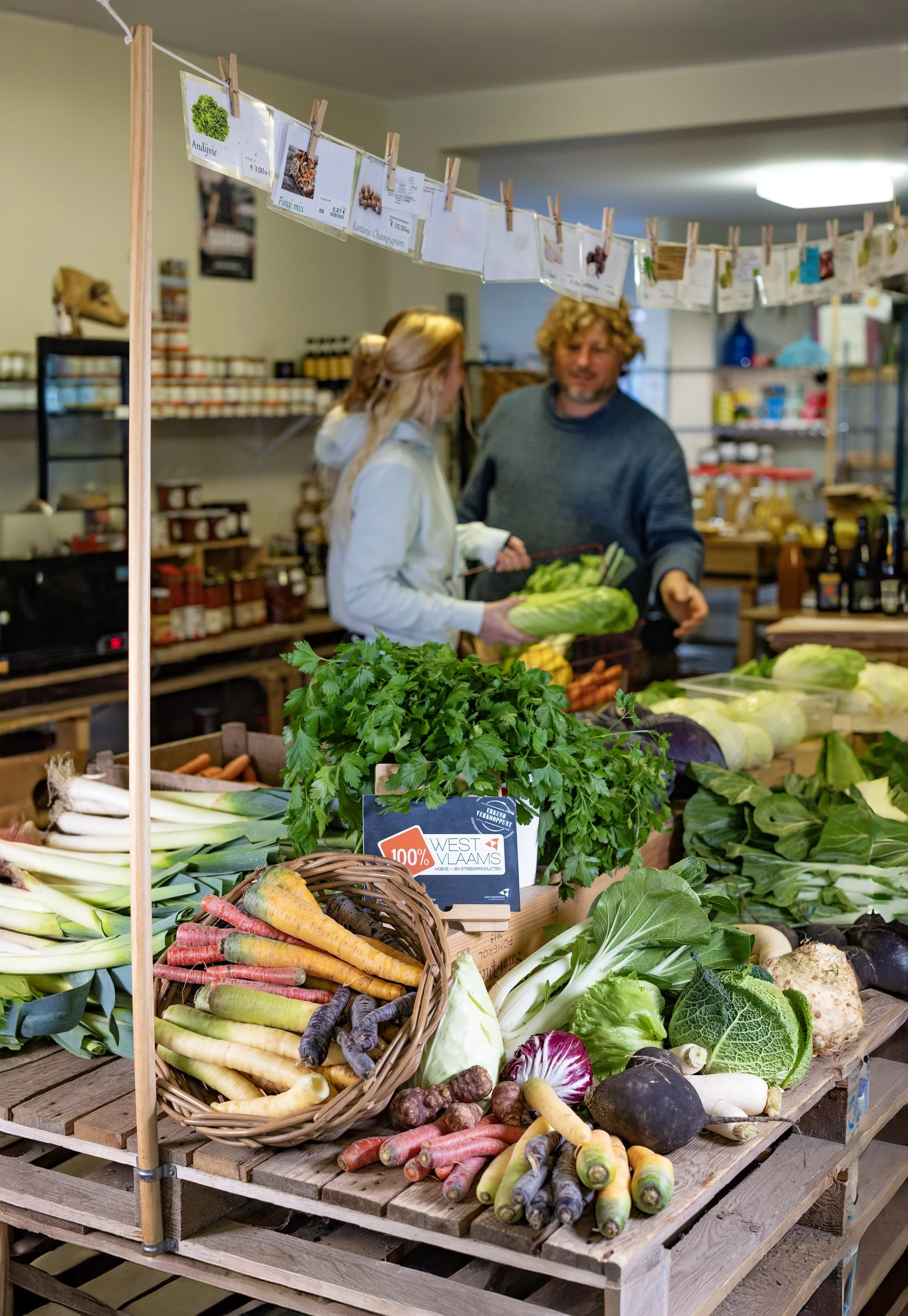 100� W-VL winkelpunt Boer Bas © 2025 Jan D’Hondt Ateljé D 1G3A6611.jpg
