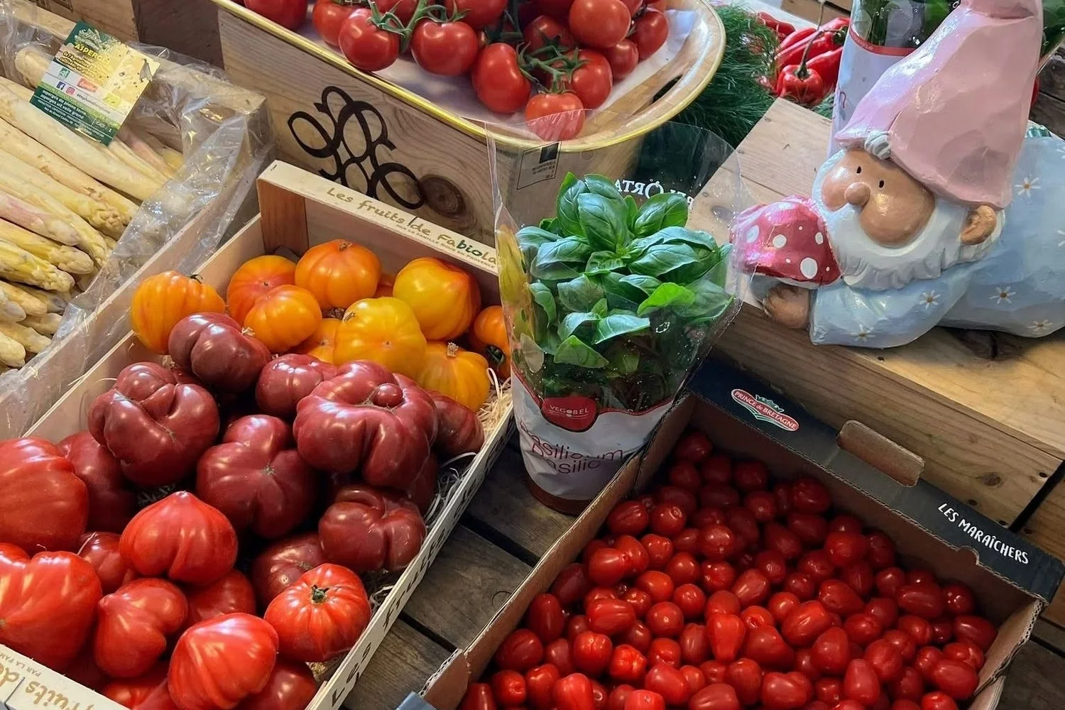Van Veld tot winkel: een bezoek aan Boer Bas