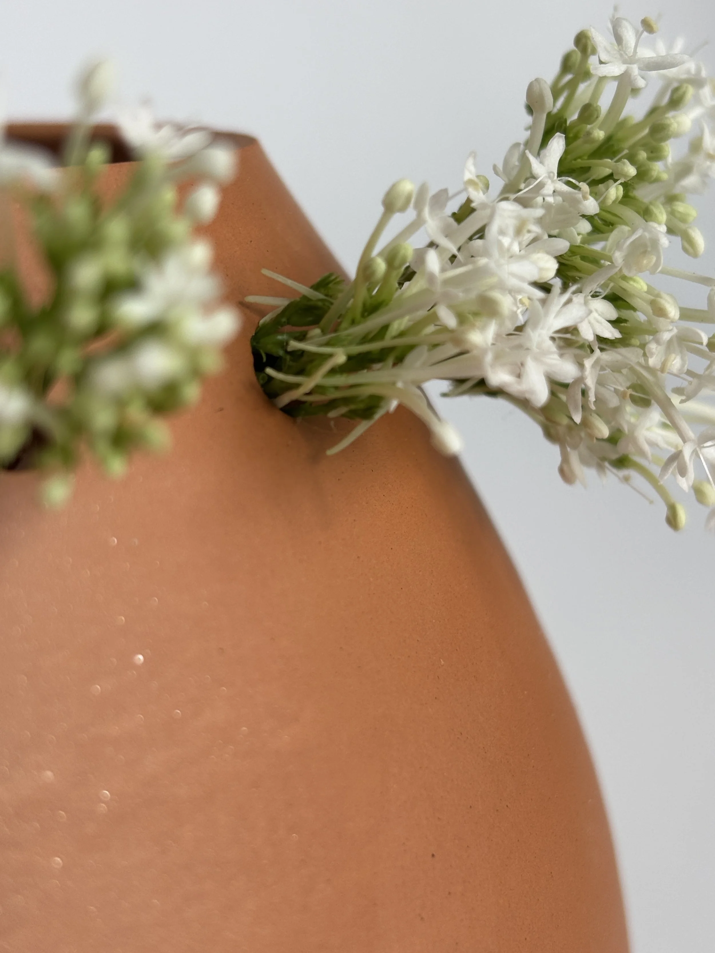 massana_greta_pottery_blog3.jpg