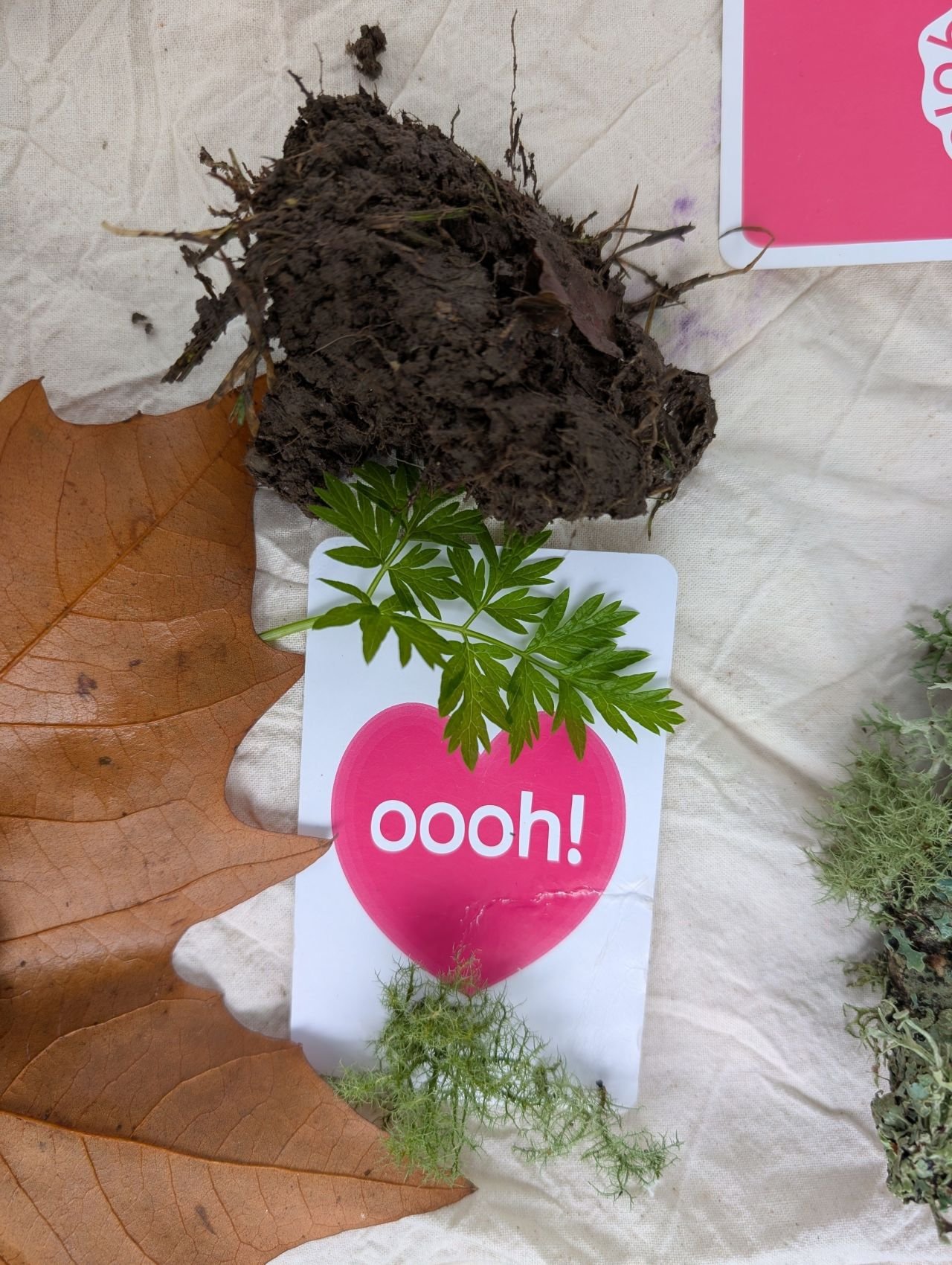 Tuning in to Tregoniggie!