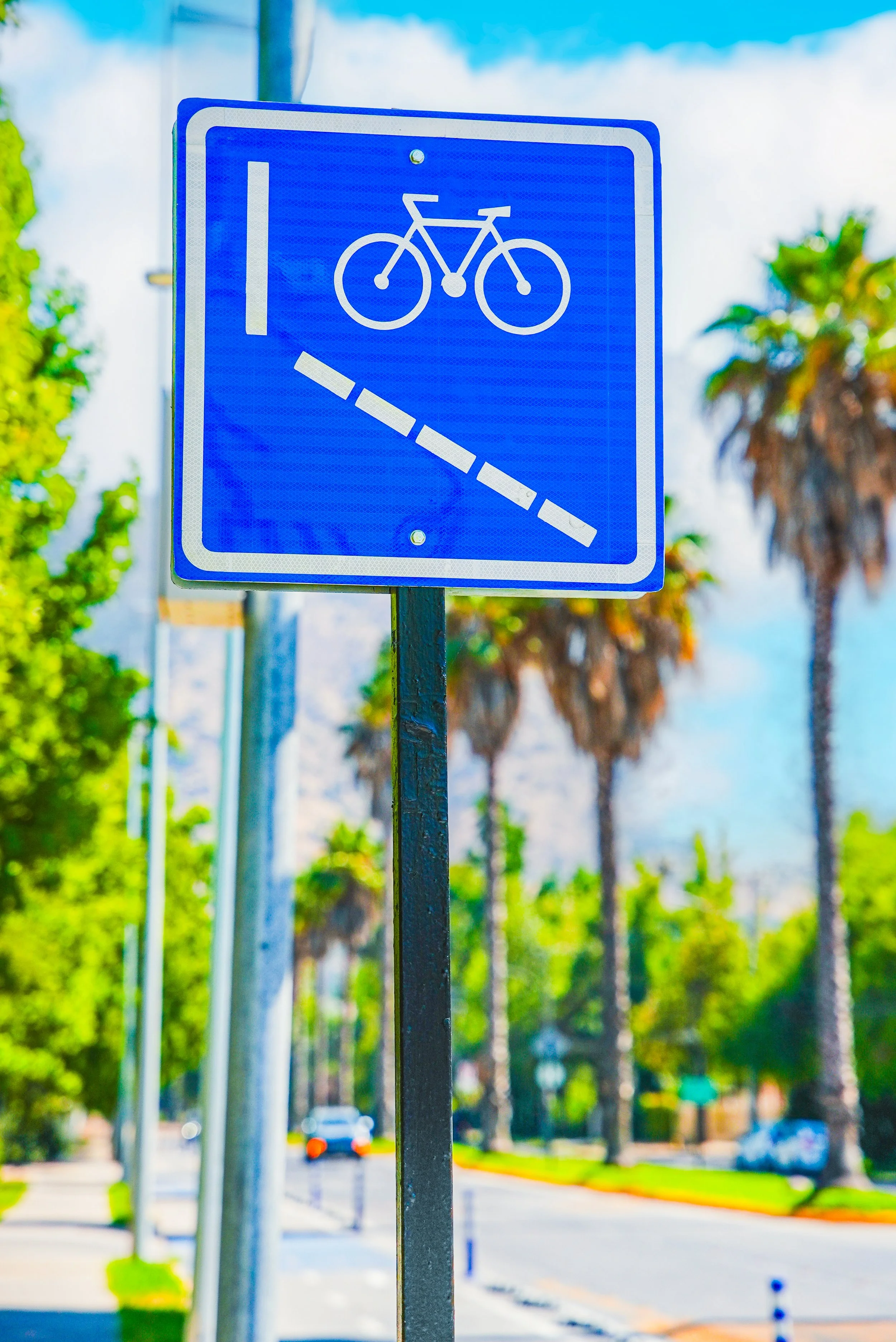 Señal de carril exclusivo para bicicletas en una calle con árboles y palmeras.