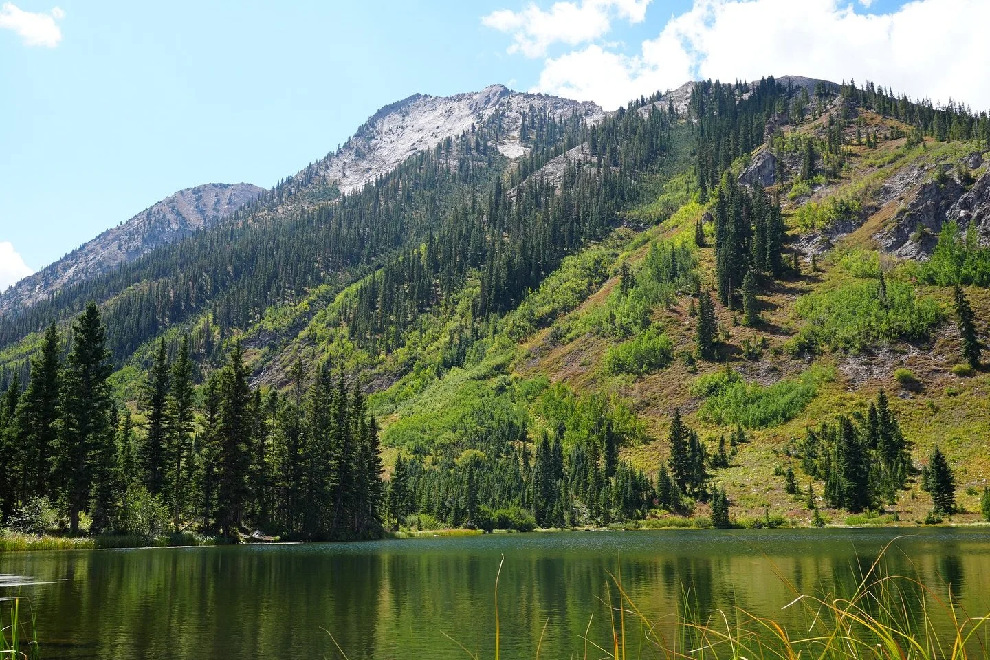 where time slows 
and life softens