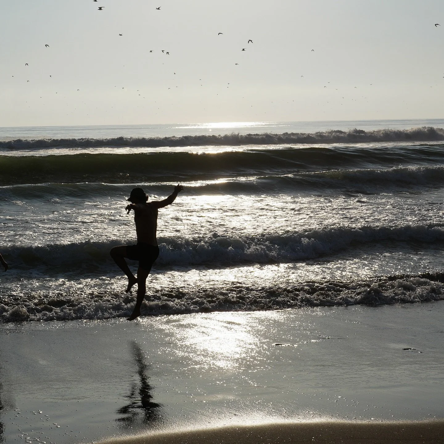 water &bull; movement &bull; change