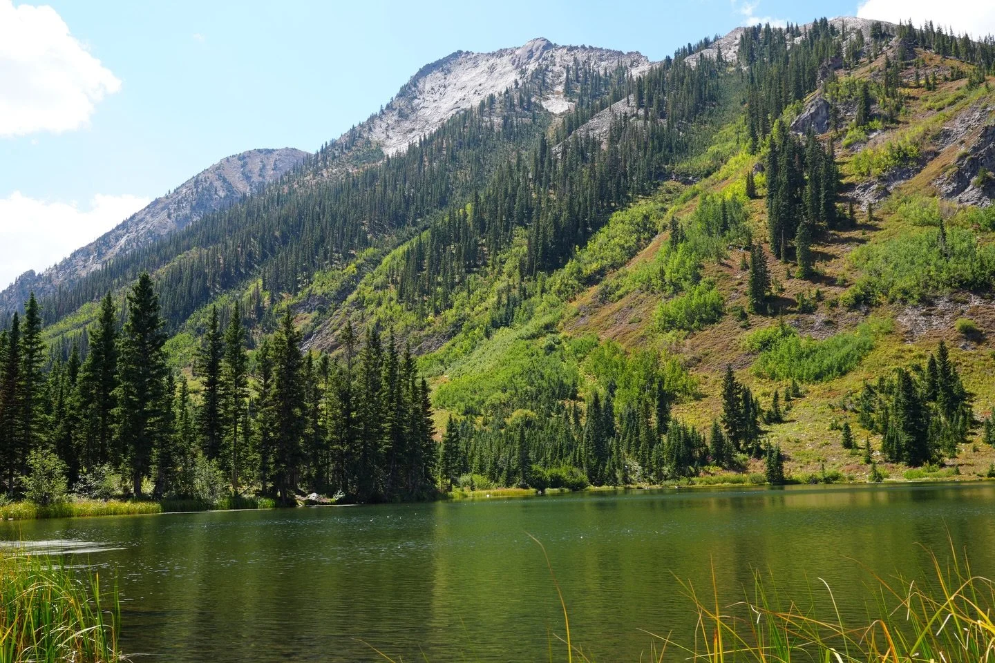 If you listen they will teach you