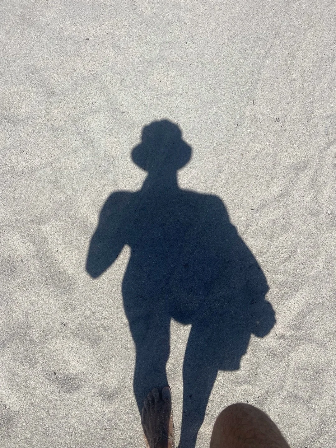 silhouettes are whispers