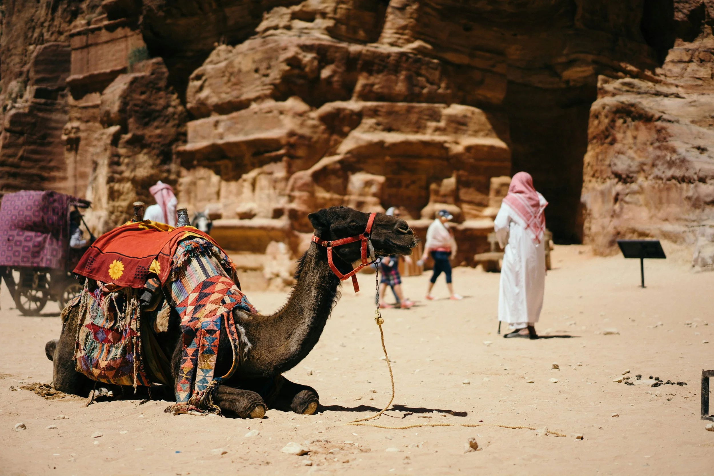 Différences entre arabe et berbère : deux langues, deux identités