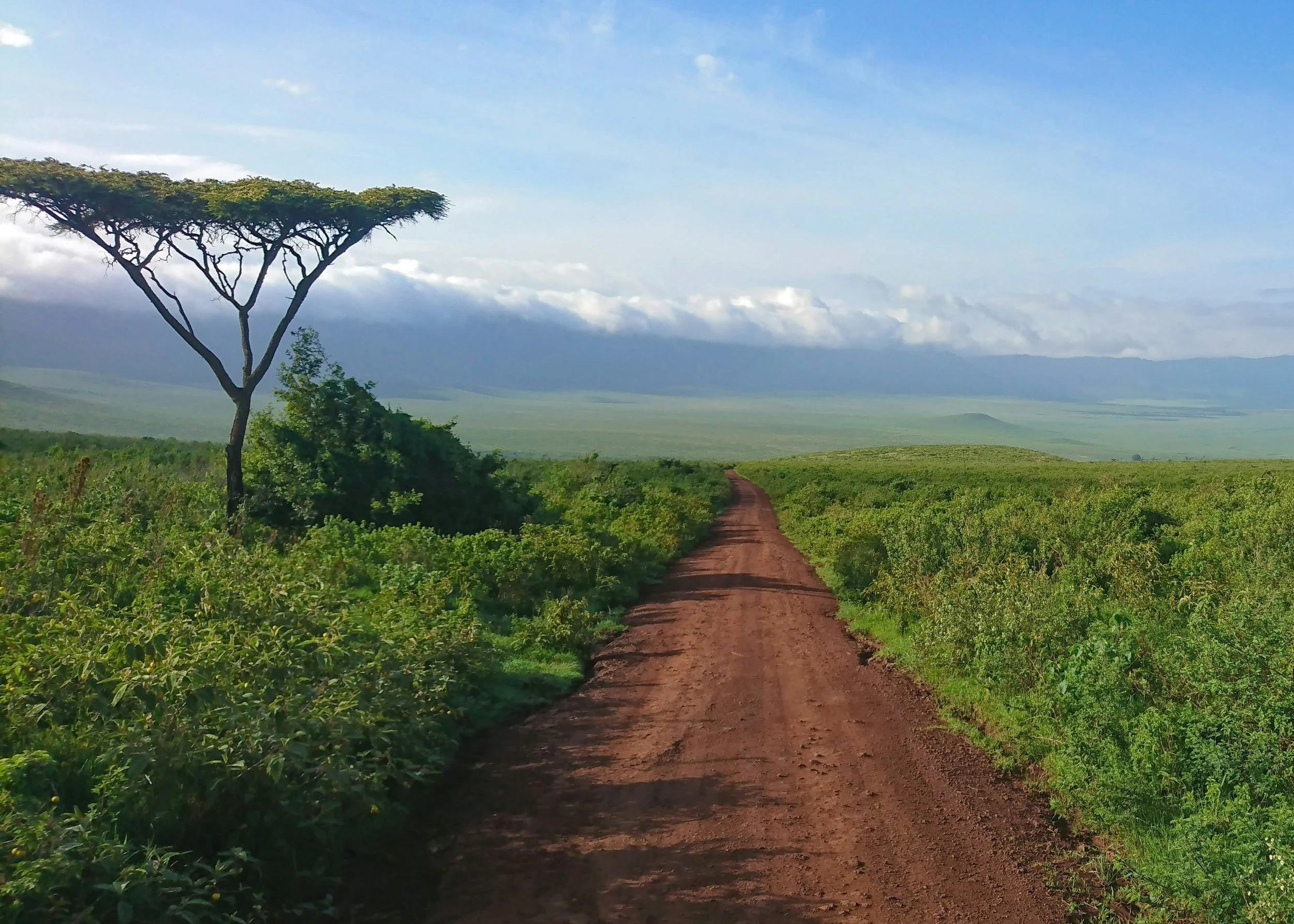 Itinéraire Tanzanie 10 jours : prix et safari sur-mesure