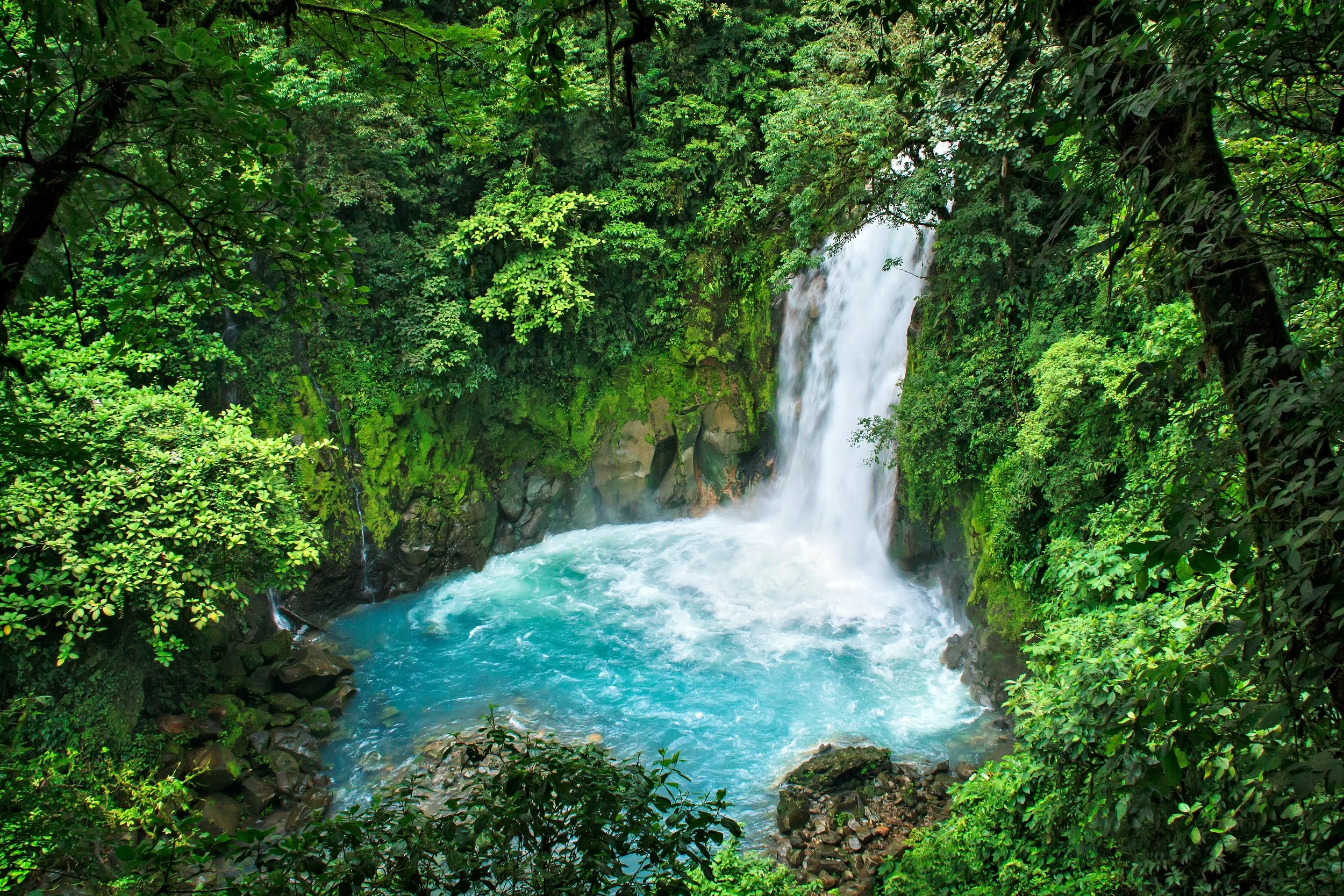 Top 5 parcs nationaux du Costa Rica à découvrir absolument