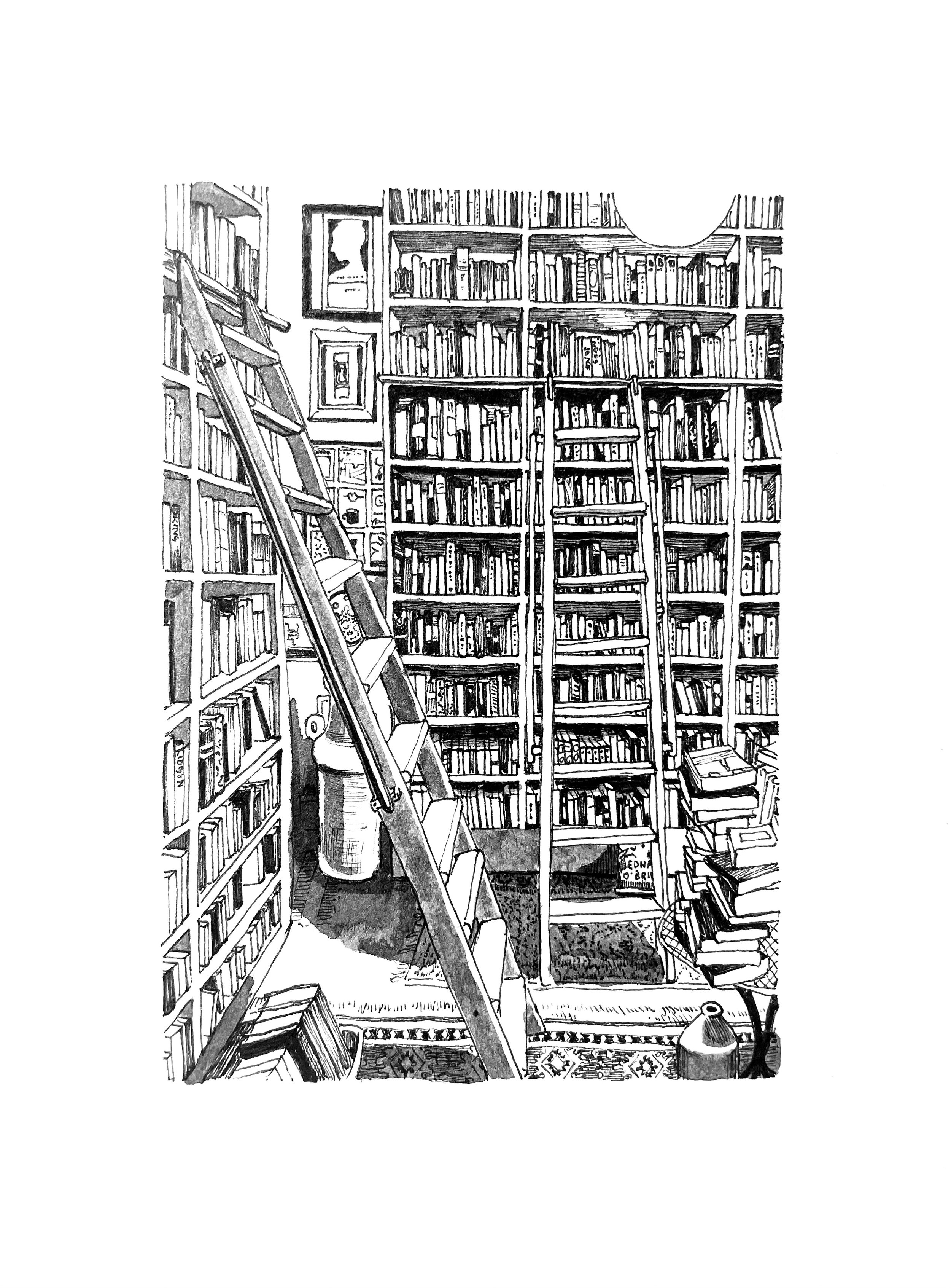 pegasus books