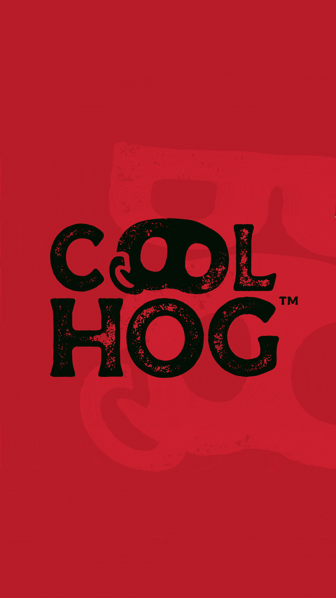 Cool Hog Case Study 2.gif