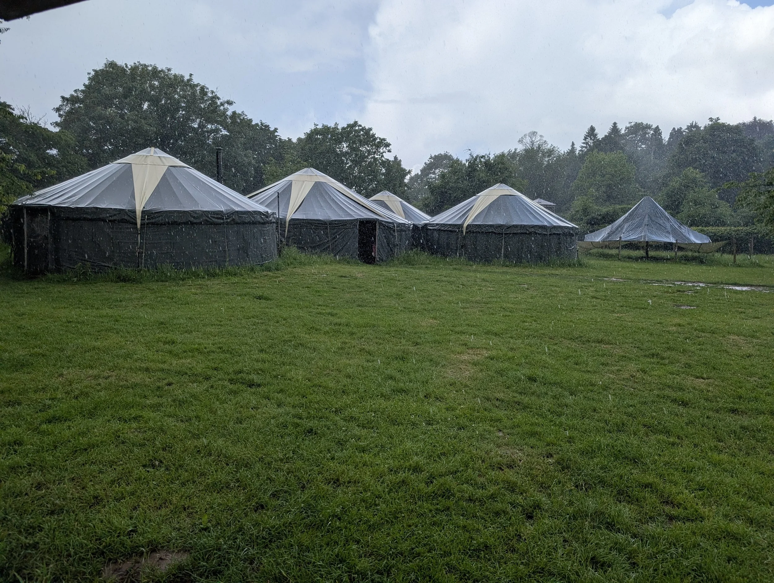 PXL_20260602_114432025.jpg